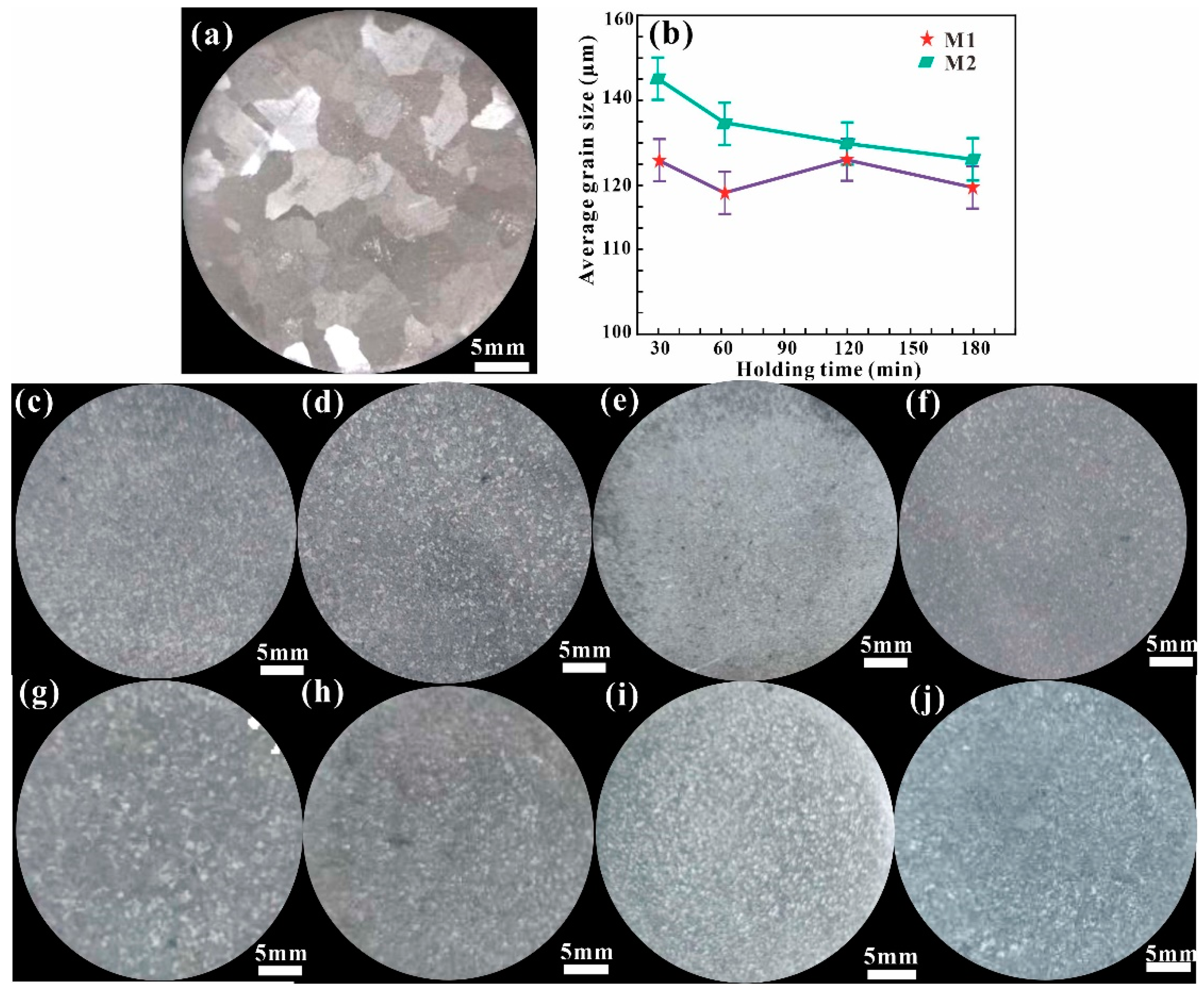 Coatings 14 01102 g003