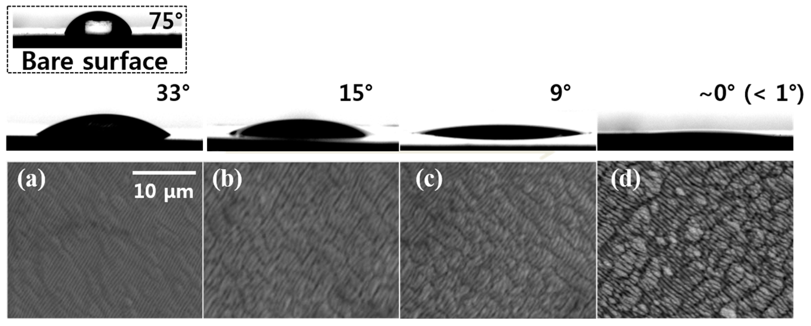 Coatings 14 01107 g006