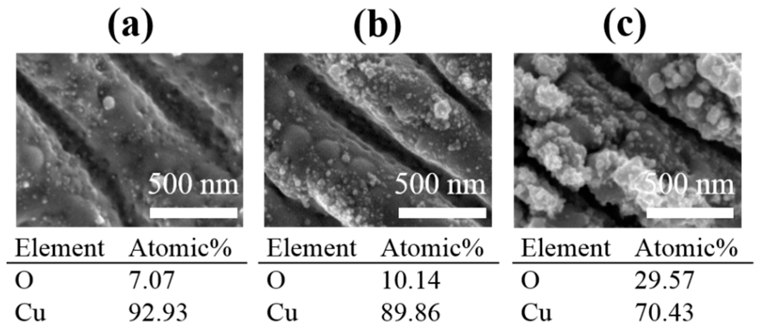 Coatings 14 01107 g009