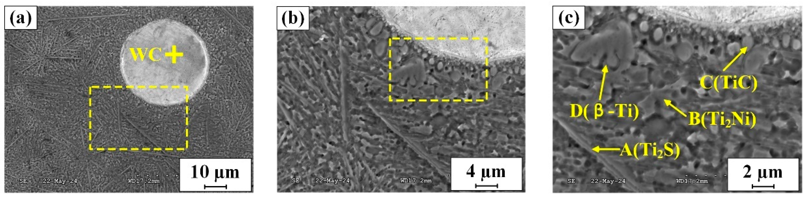 Coatings 14 01110 g006