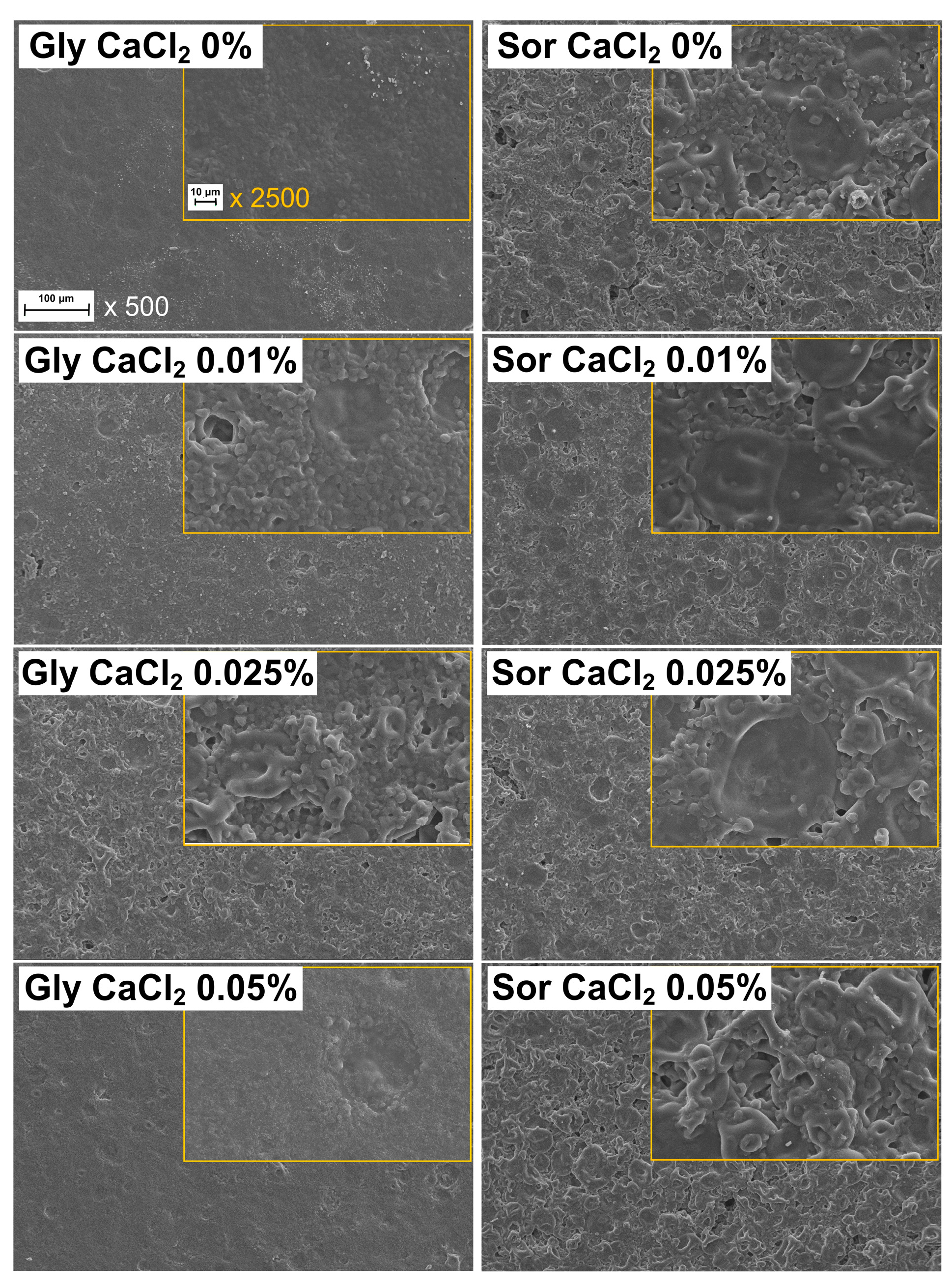 Coatings 14 01116 g001