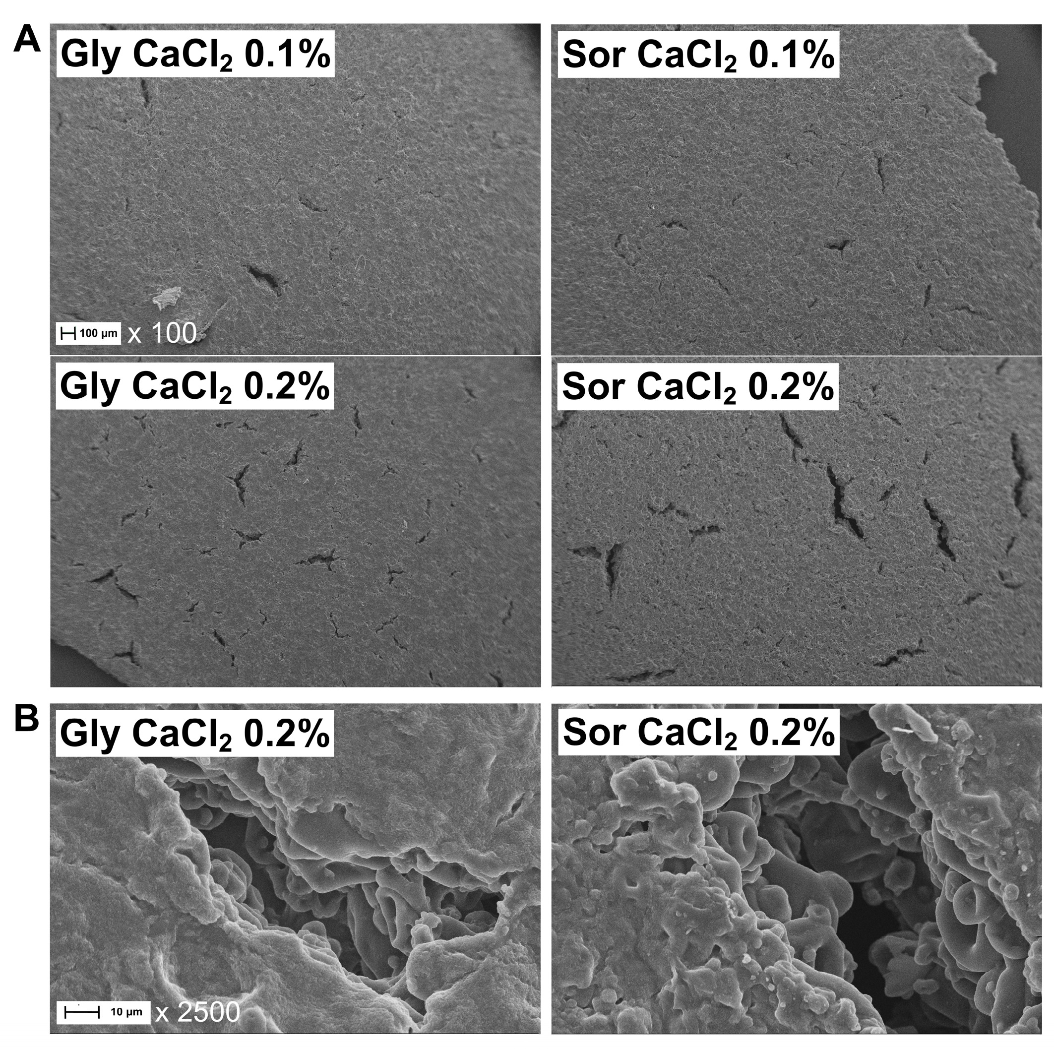 Coatings 14 01116 g003