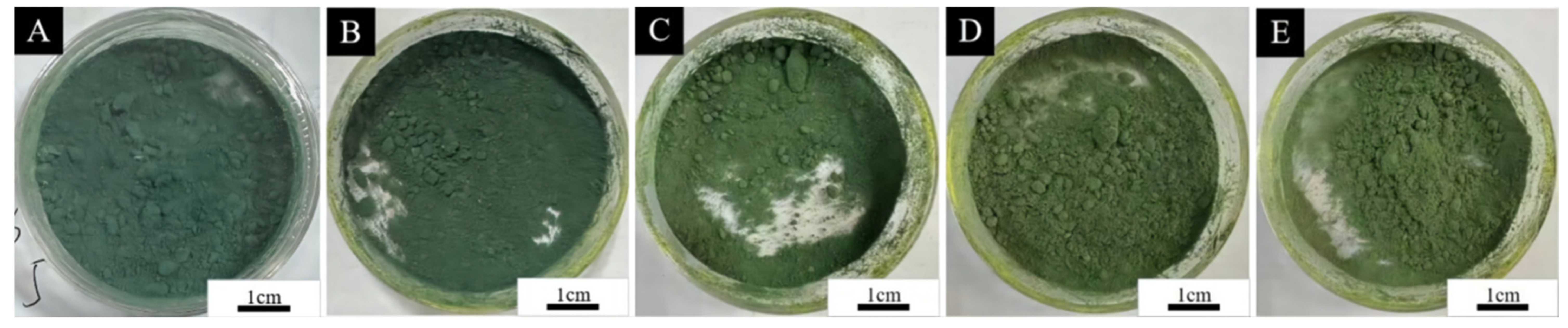 Coatings 14 01118 g001