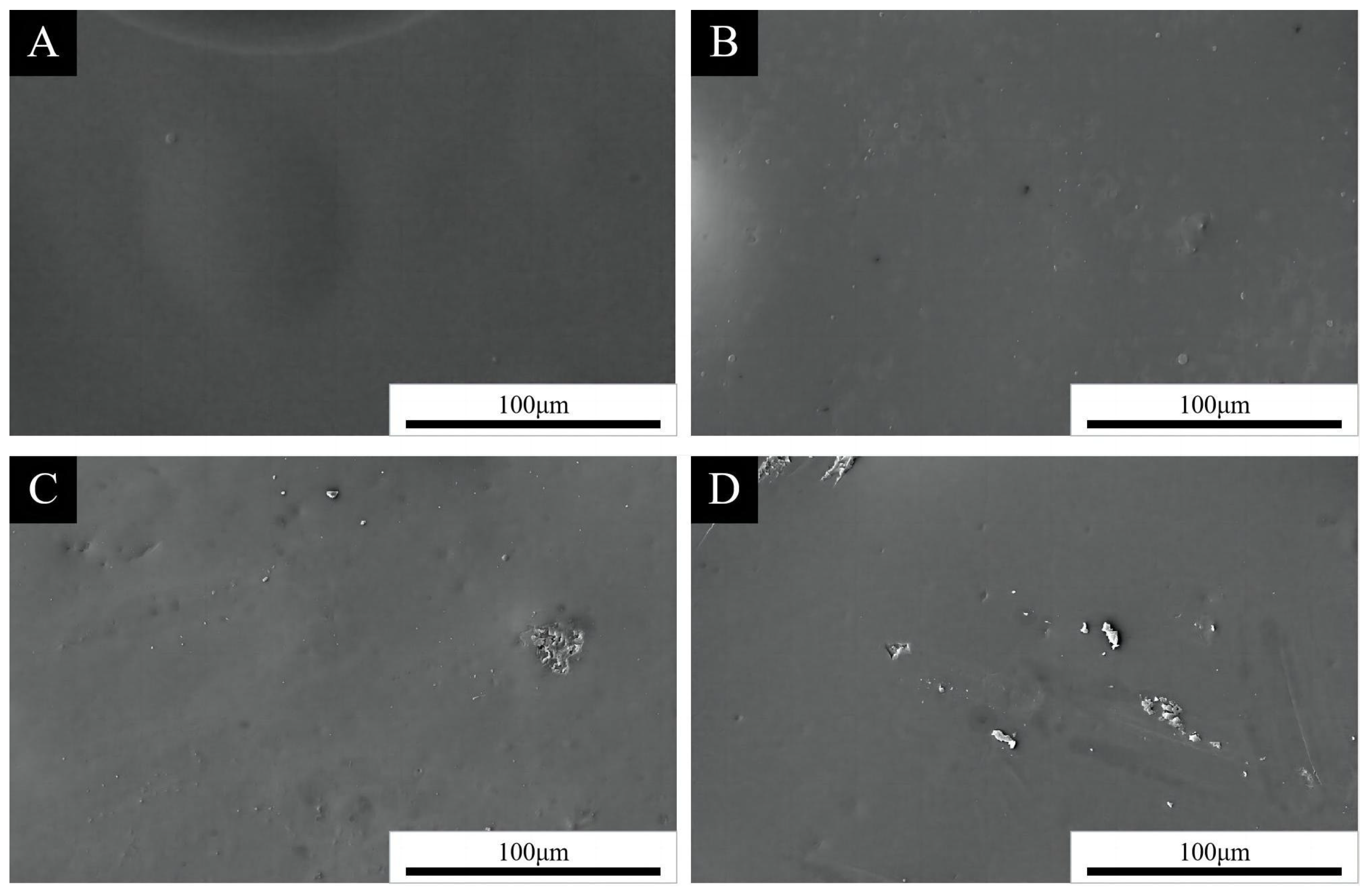 Coatings 14 01118 g004