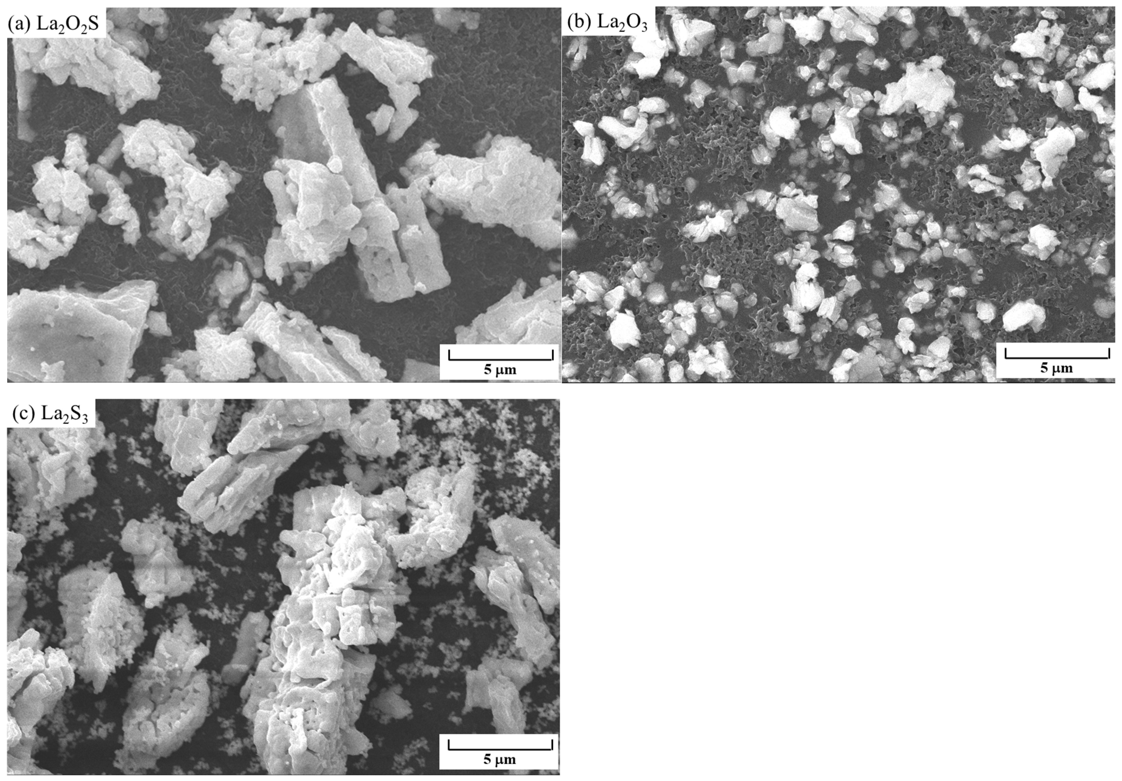 Coatings 14 01120 g002