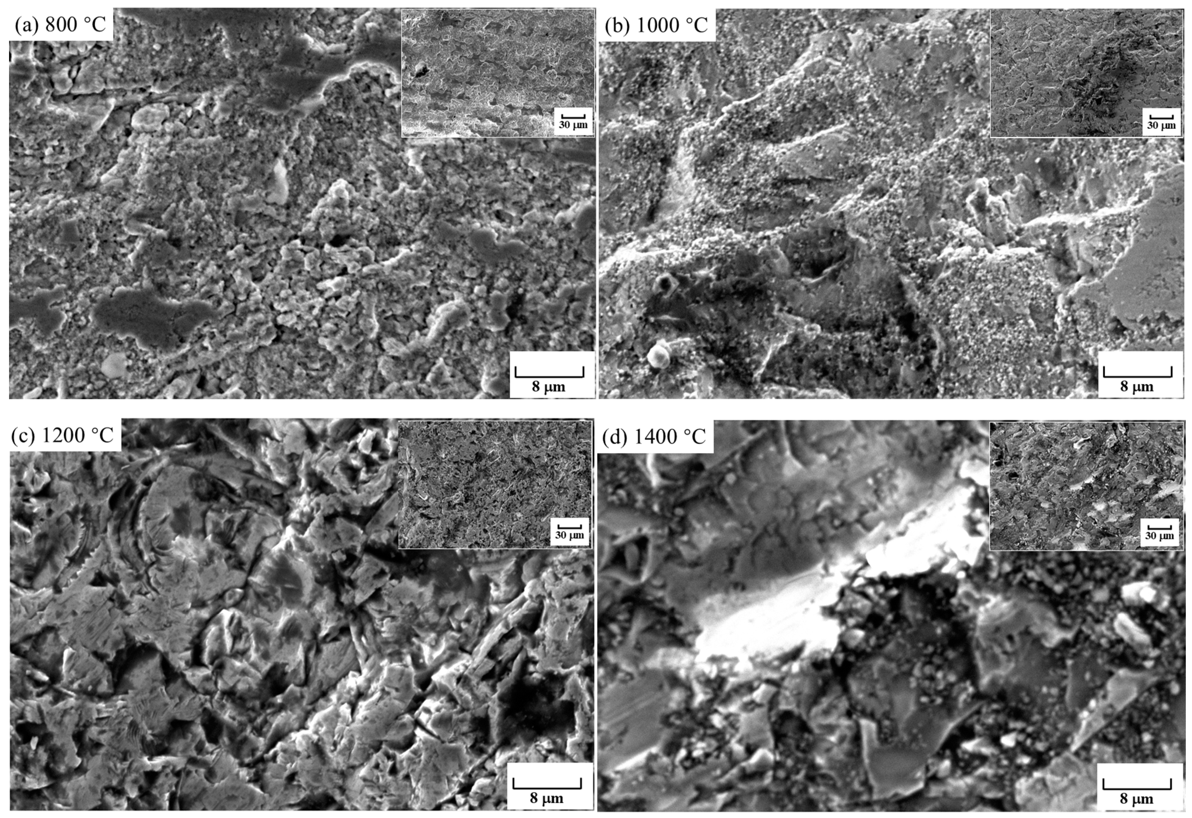 Coatings 14 01120 g005