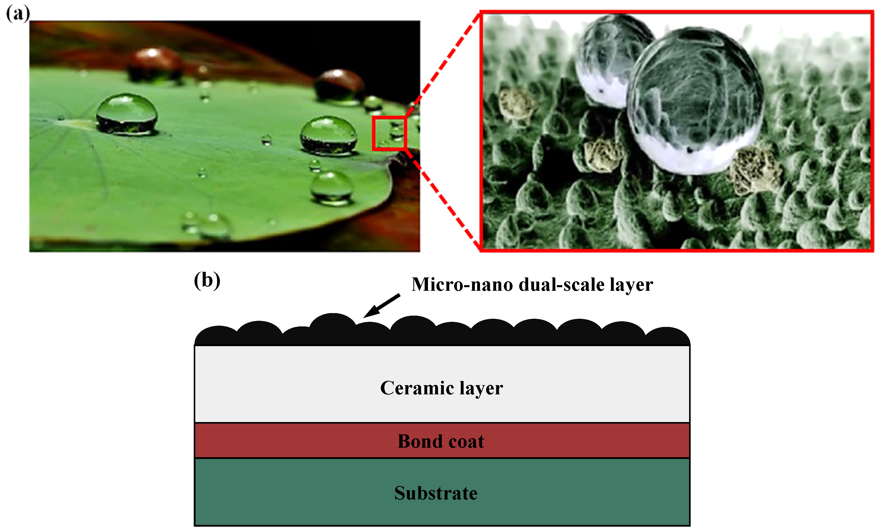Coatings 14 01123 g002