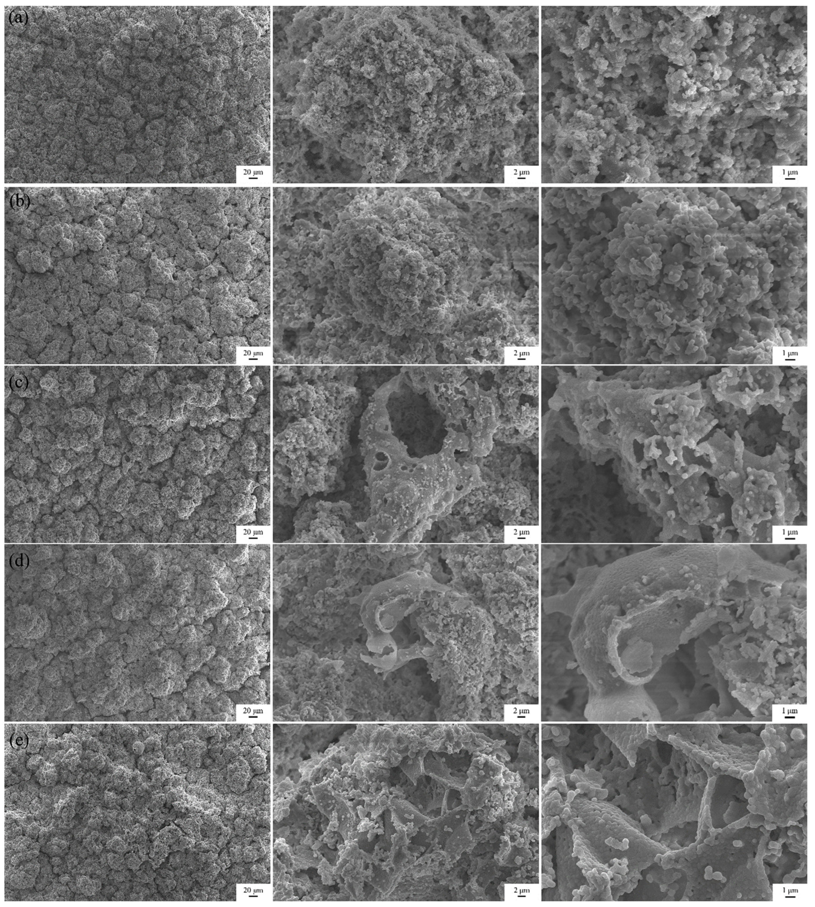Coatings 14 01123 g004