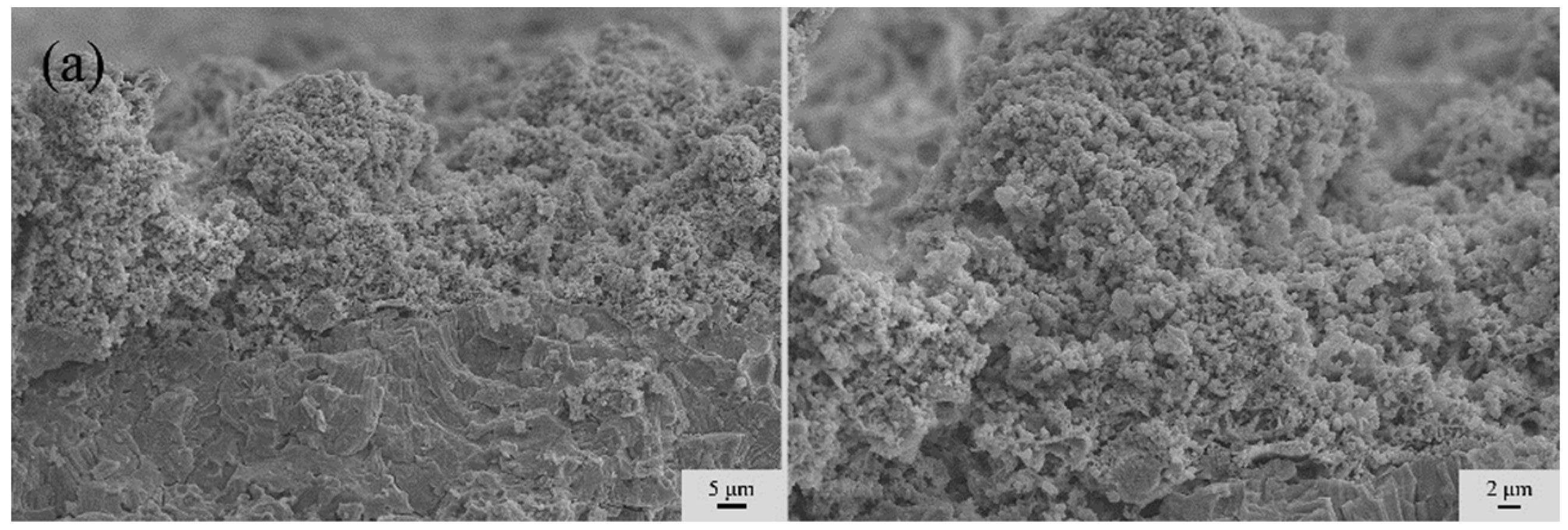 Coatings 14 01123 g006a