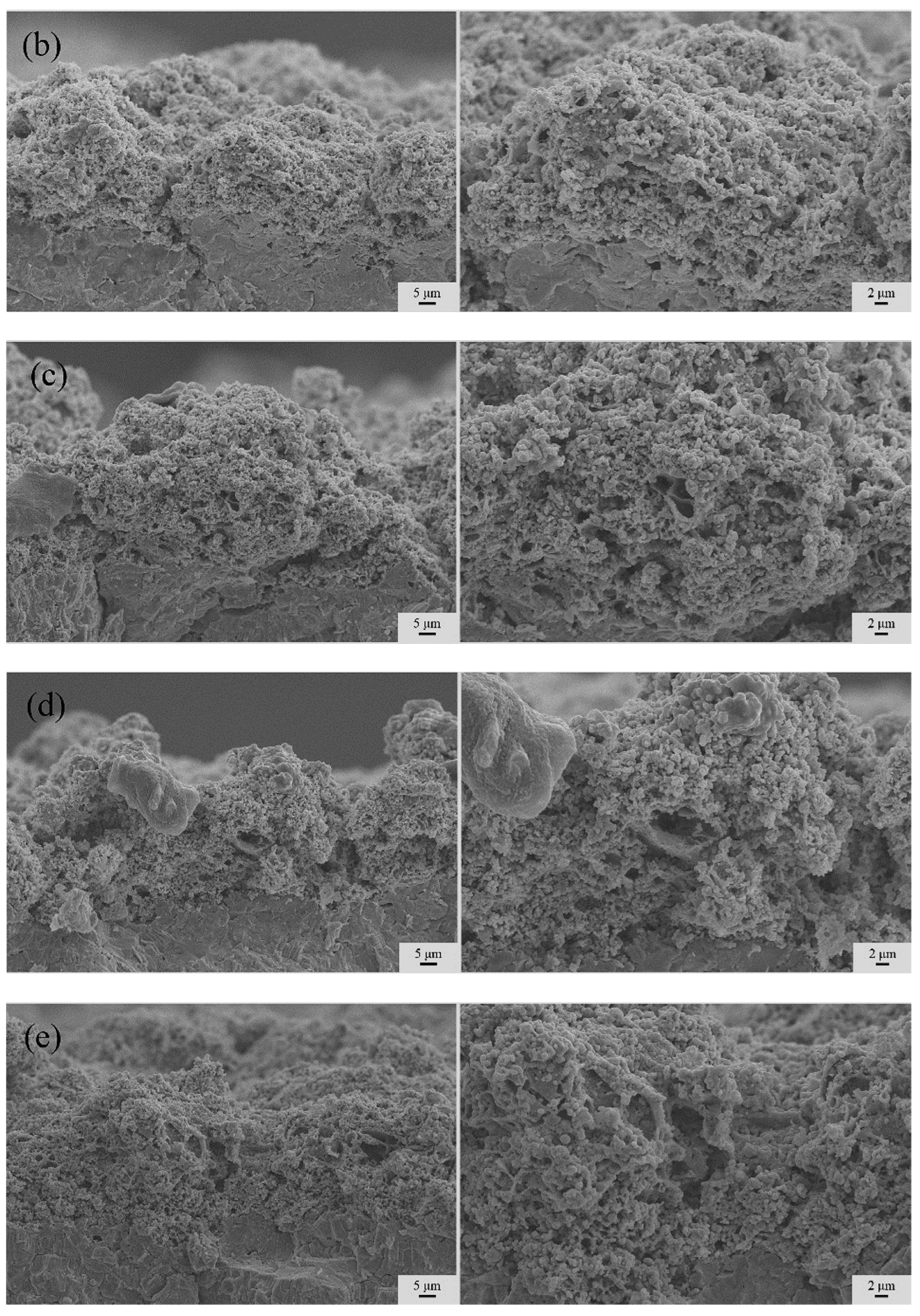 Coatings 14 01123 g006b