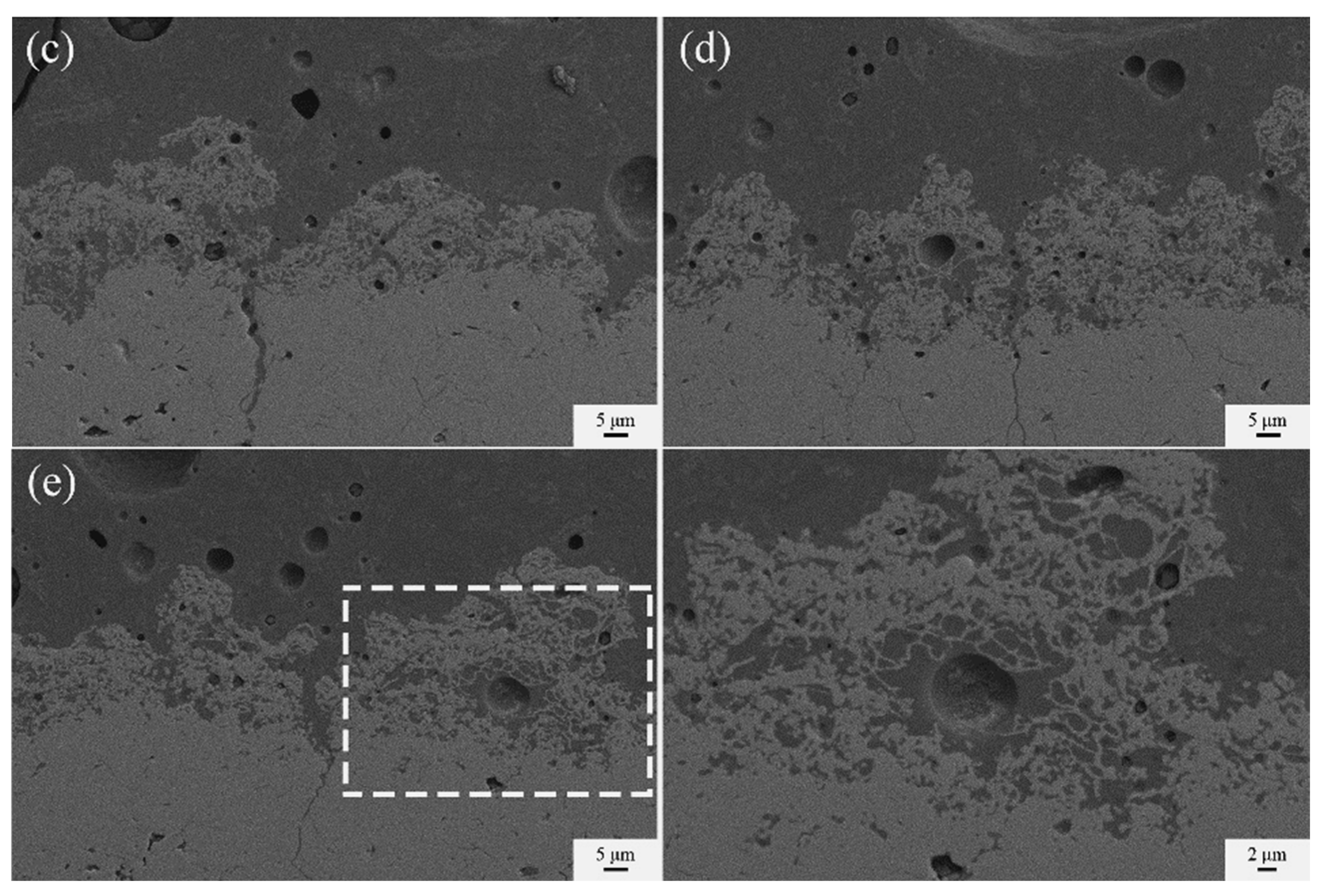 Coatings 14 01123 g011b