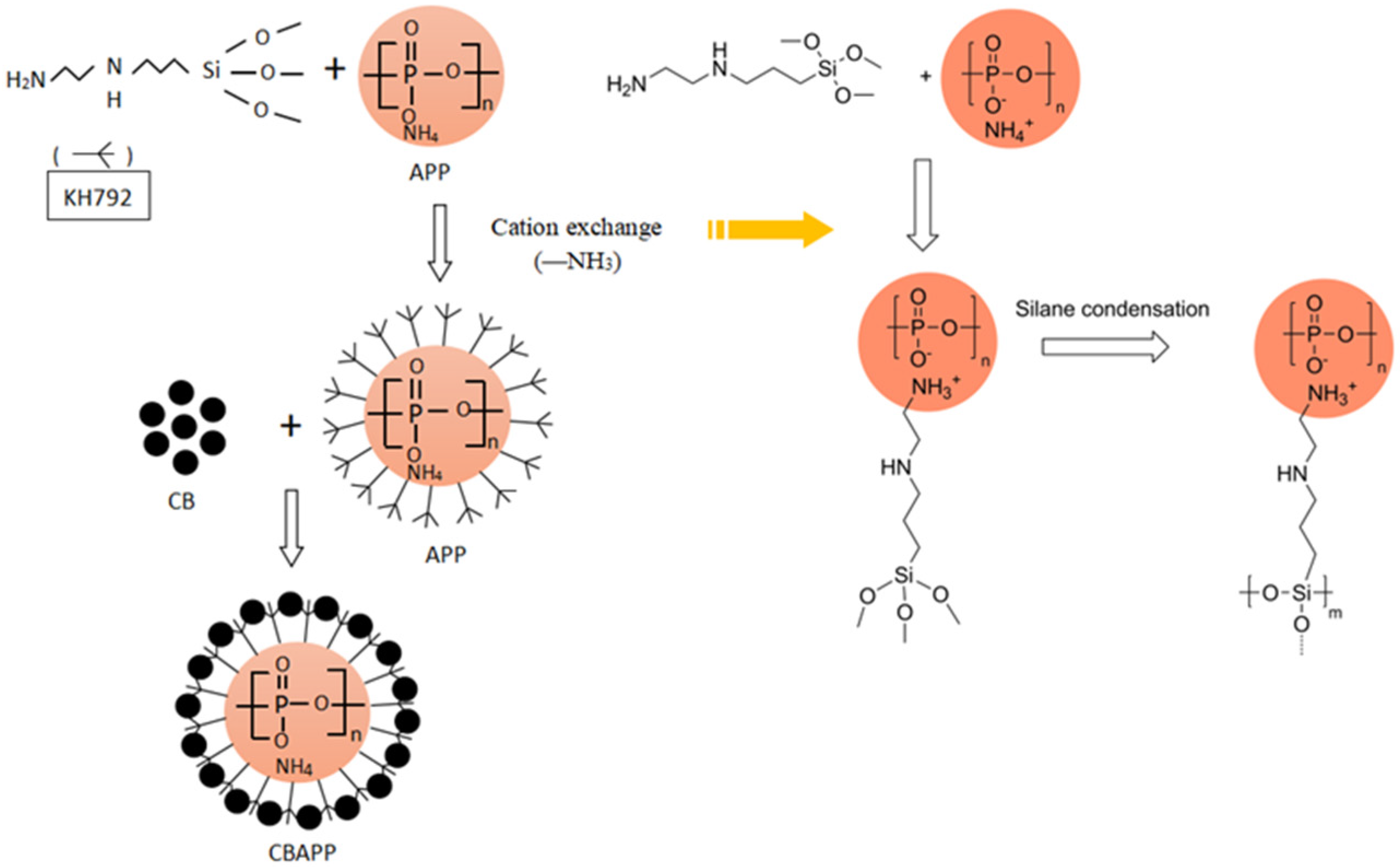 Coatings 14 01126 g001