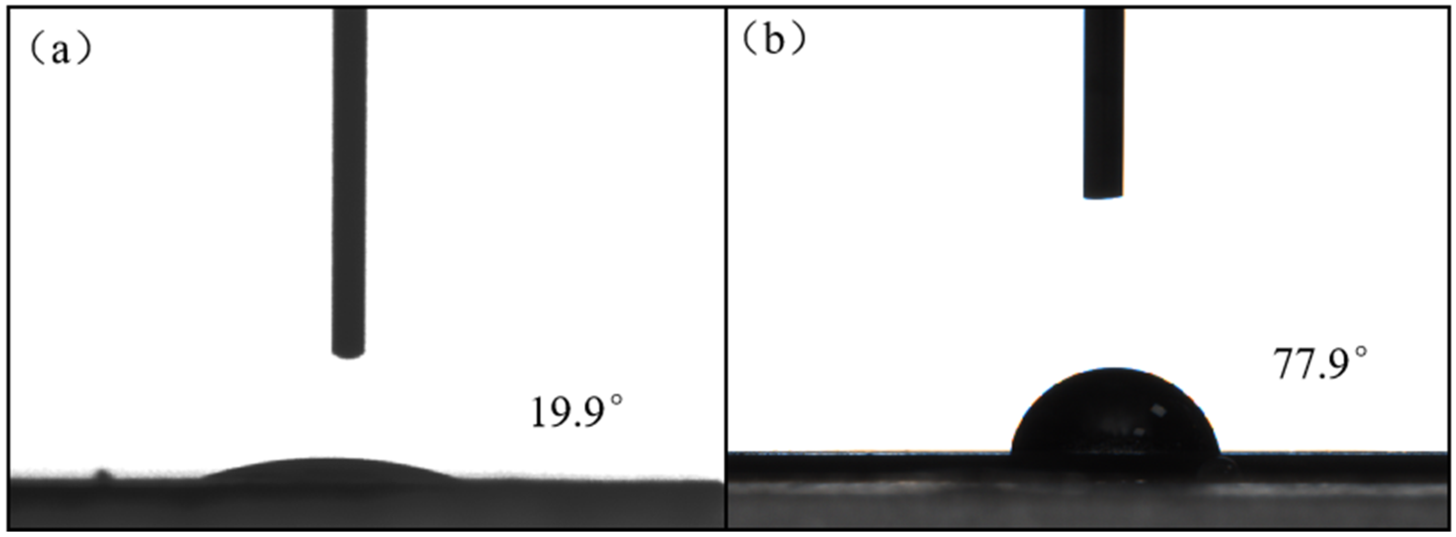 Coatings 14 01126 g006