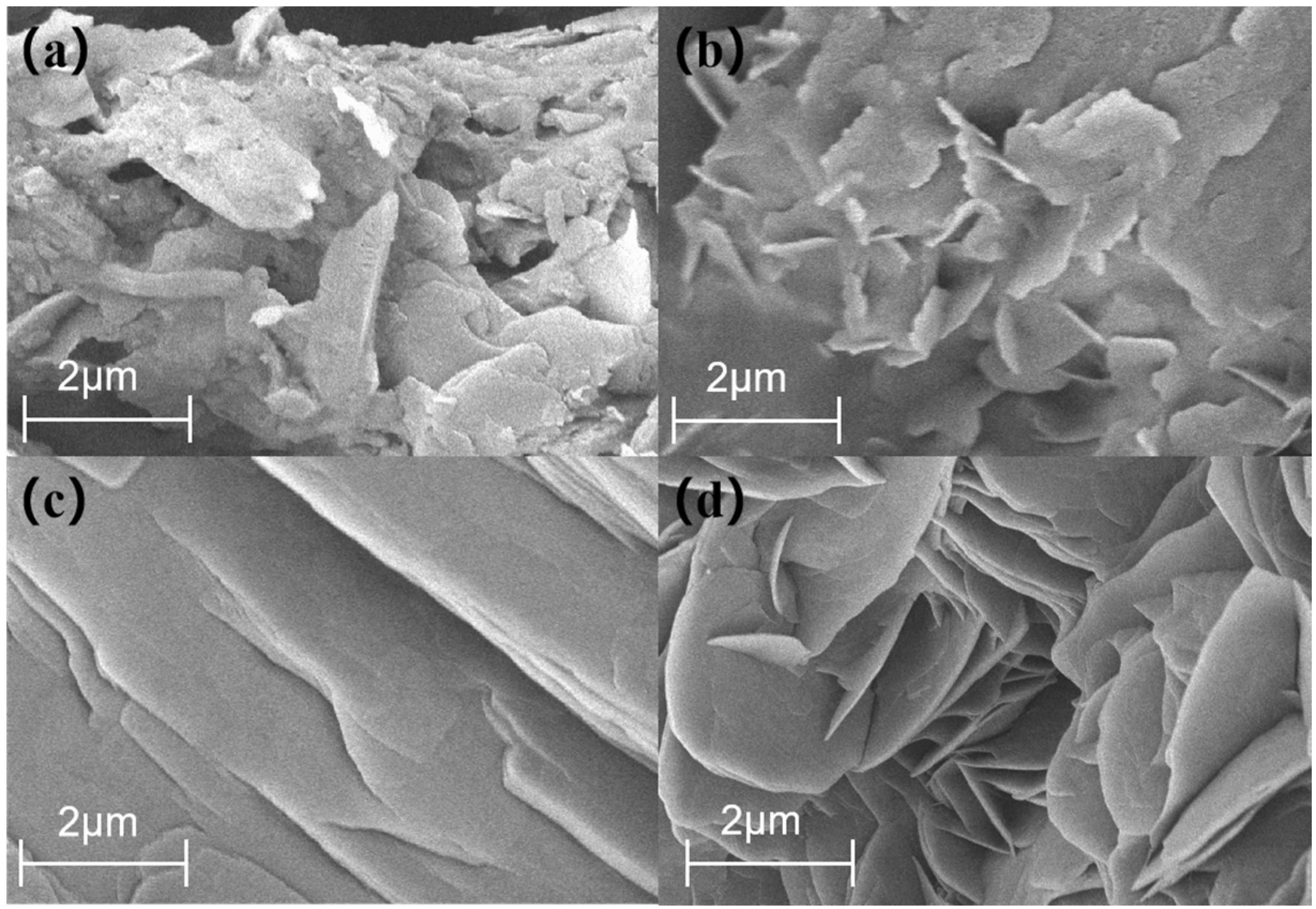 Coatings 14 01126 g010