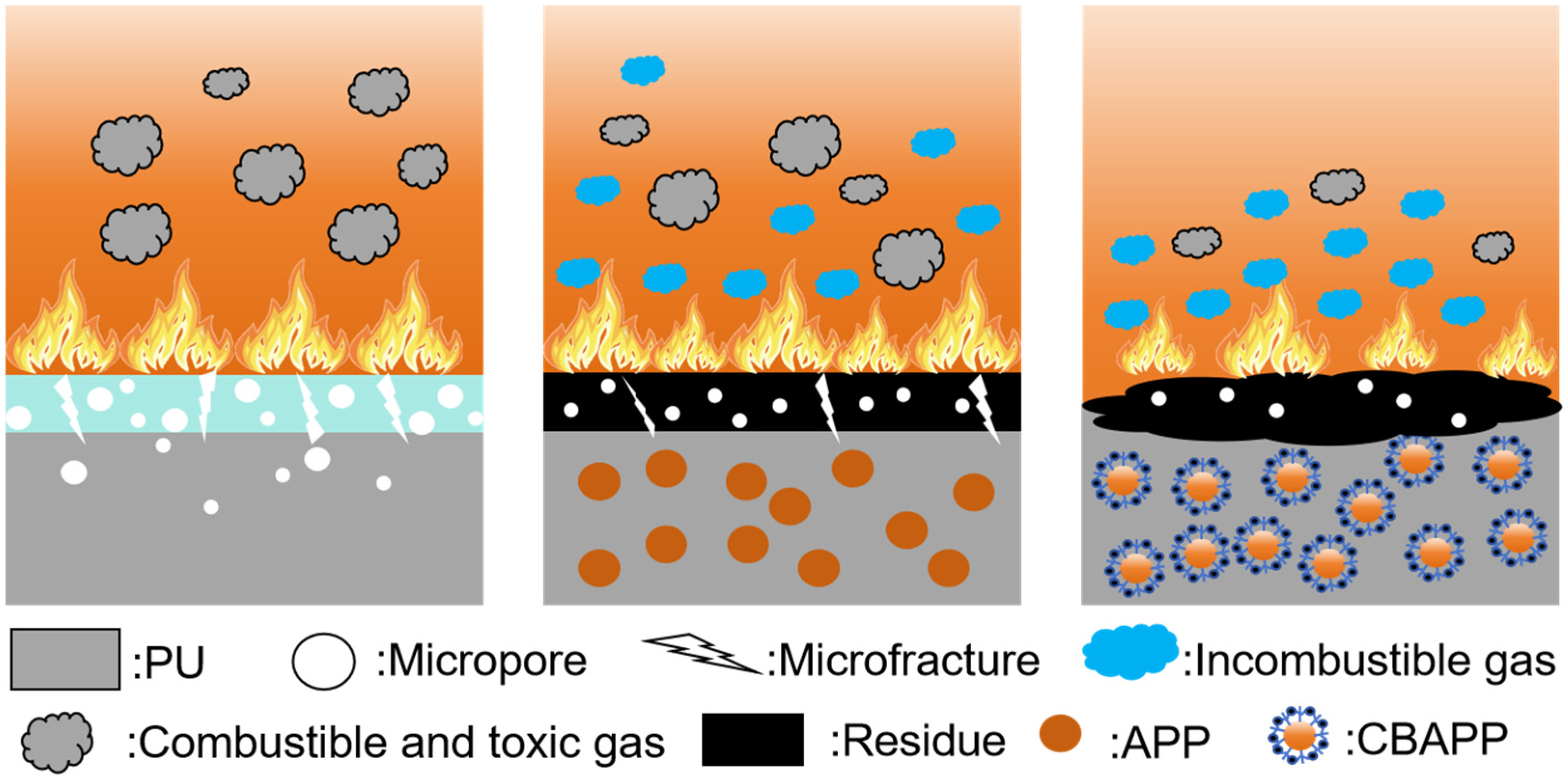 Coatings 14 01126 g011