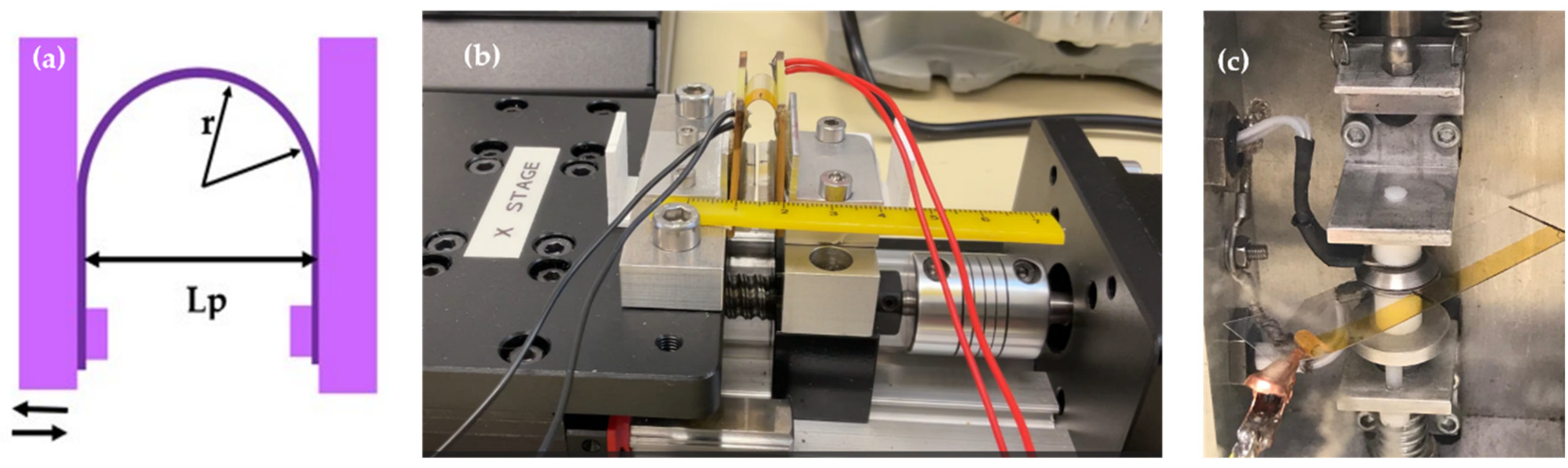 Coatings 14 01127 g002 Coatings 14 01127 g002