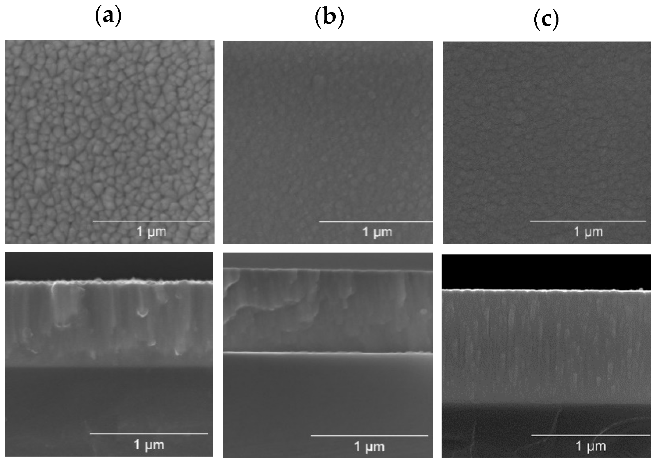 Coatings 14 01127 g007 Coatings 14 01127 g007