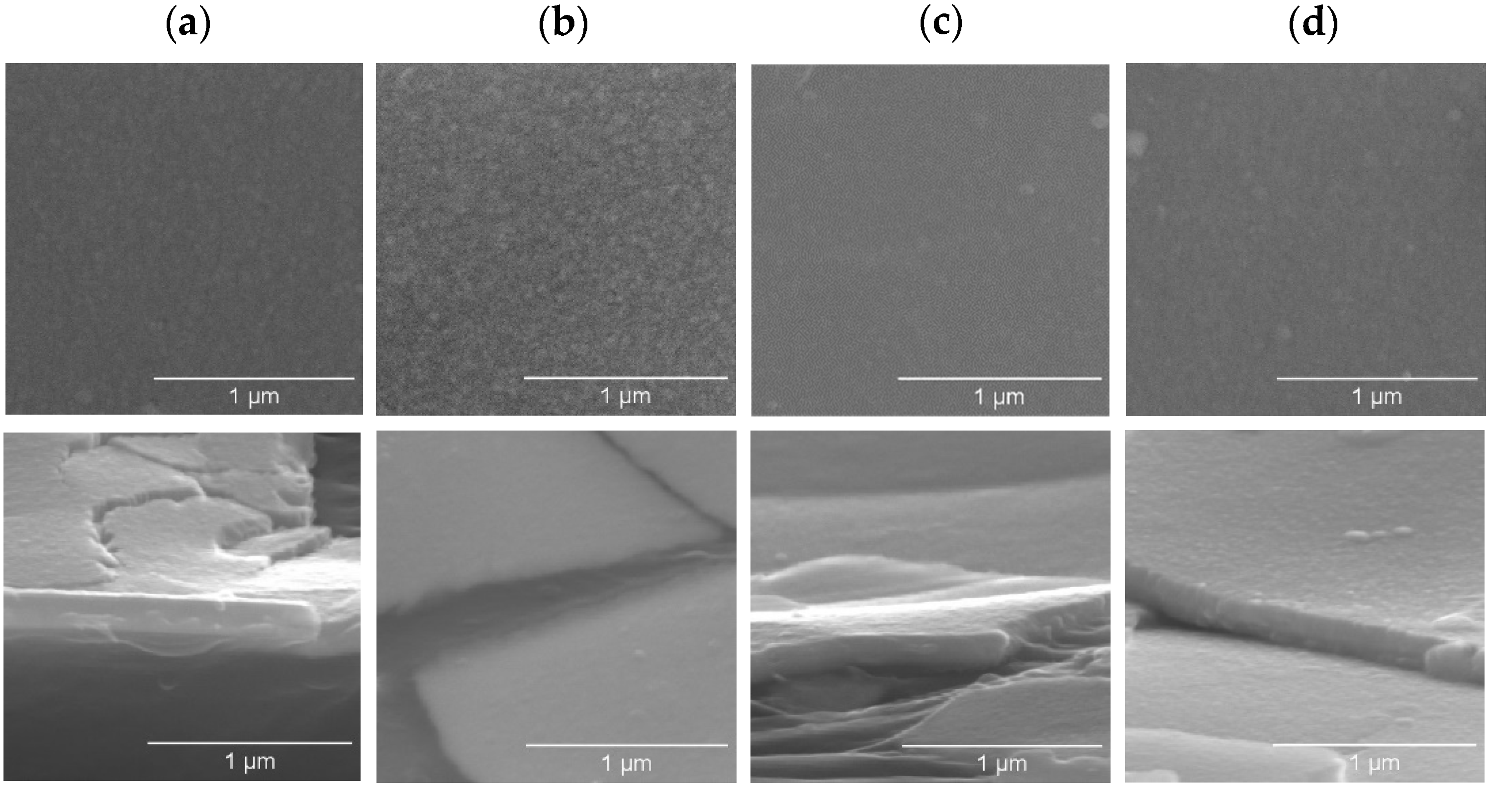 Coatings 14 01127 g009 Coatings 14 01127 g009