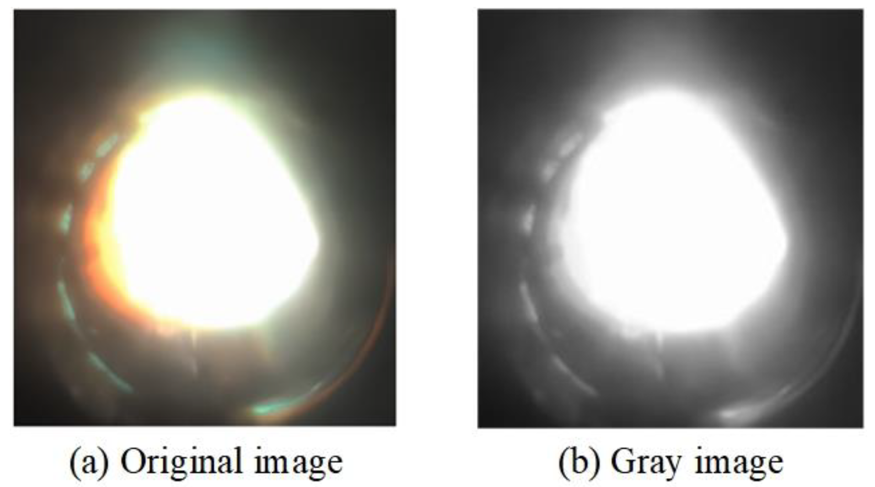 Coatings 14 01131 g003