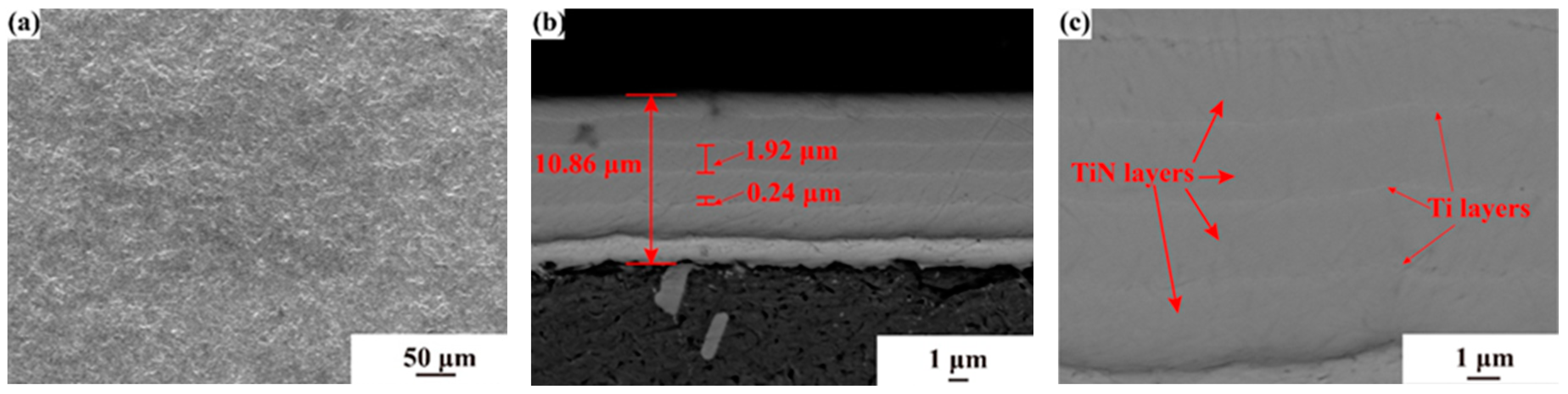 Coatings 14 01144 g004