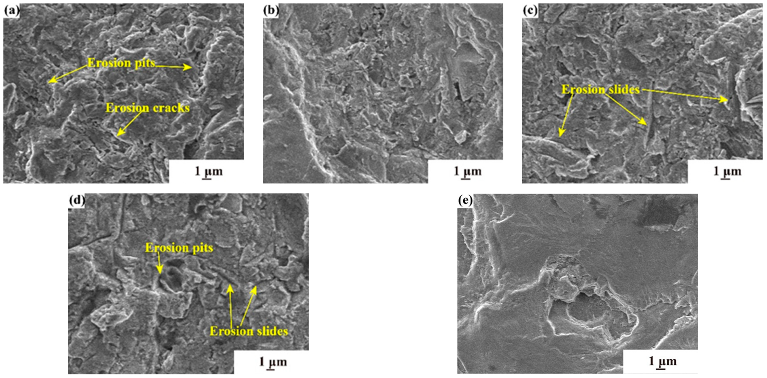 Coatings 14 01144 g008