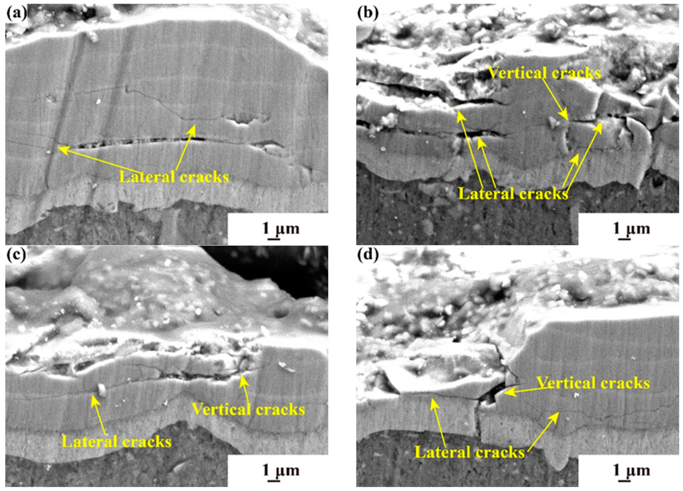 Coatings 14 01144 g009