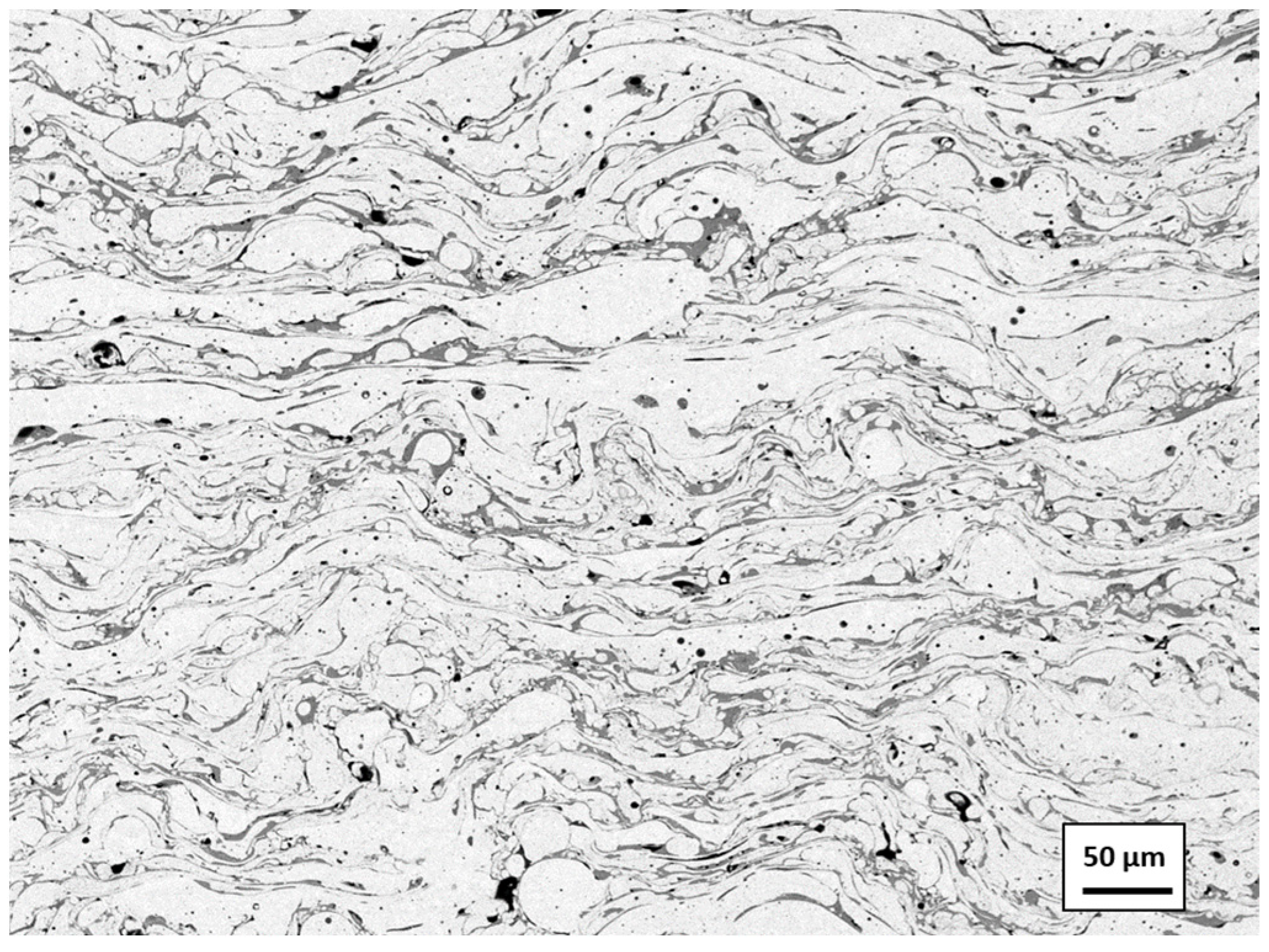 Coatings 14 01145 g001