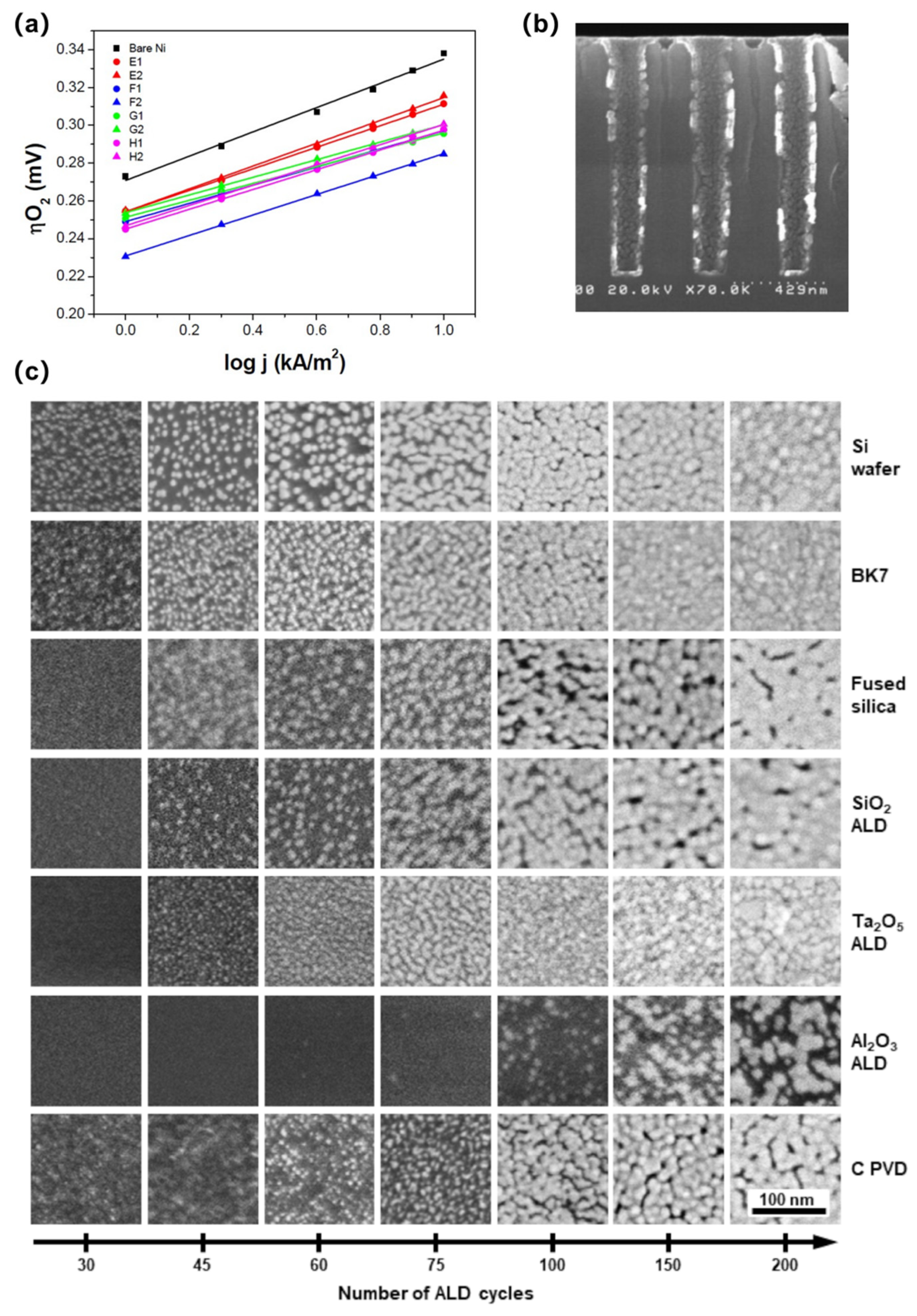 Coatings 14 01147 g009