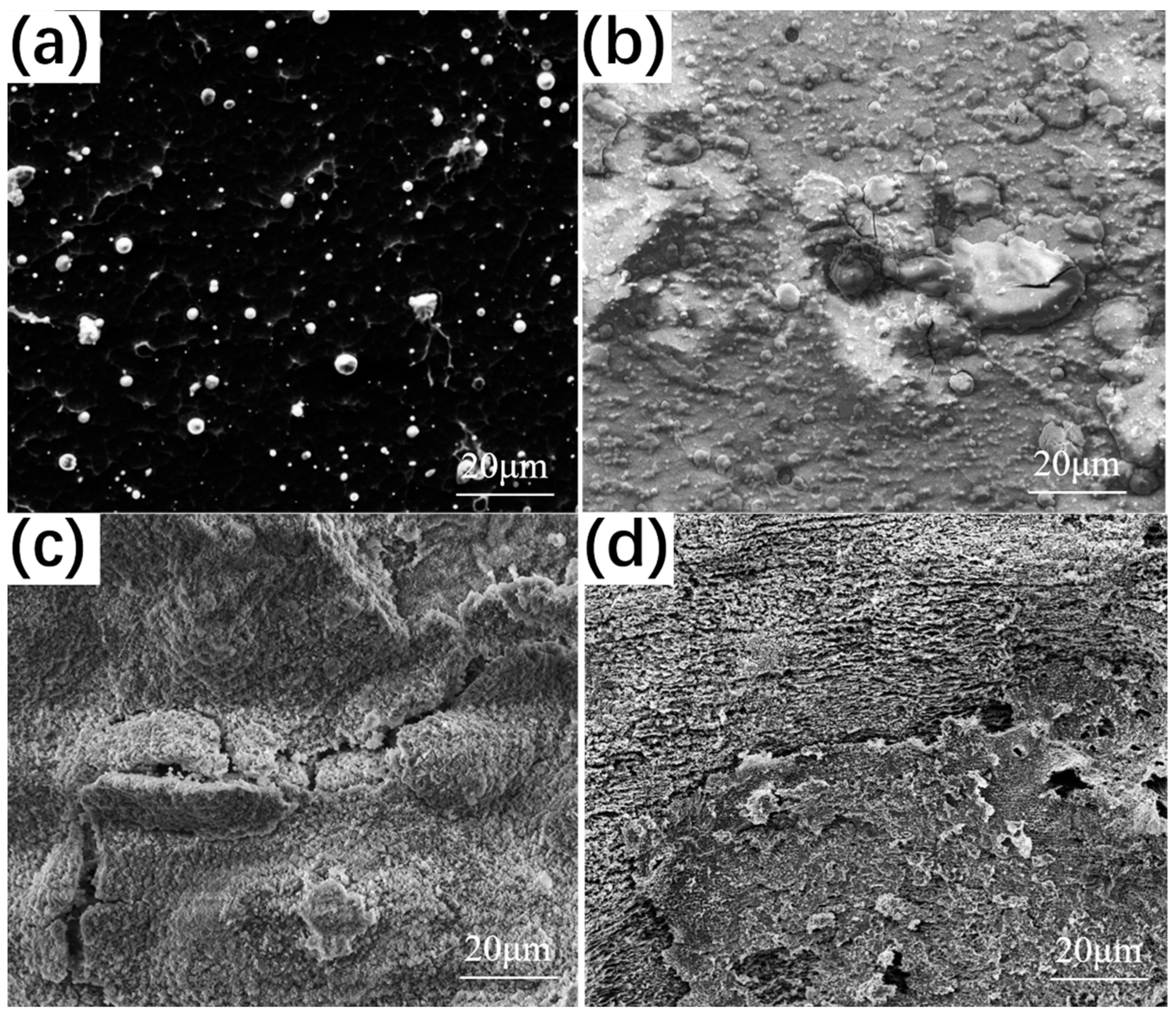 Coatings 14 01150 g005