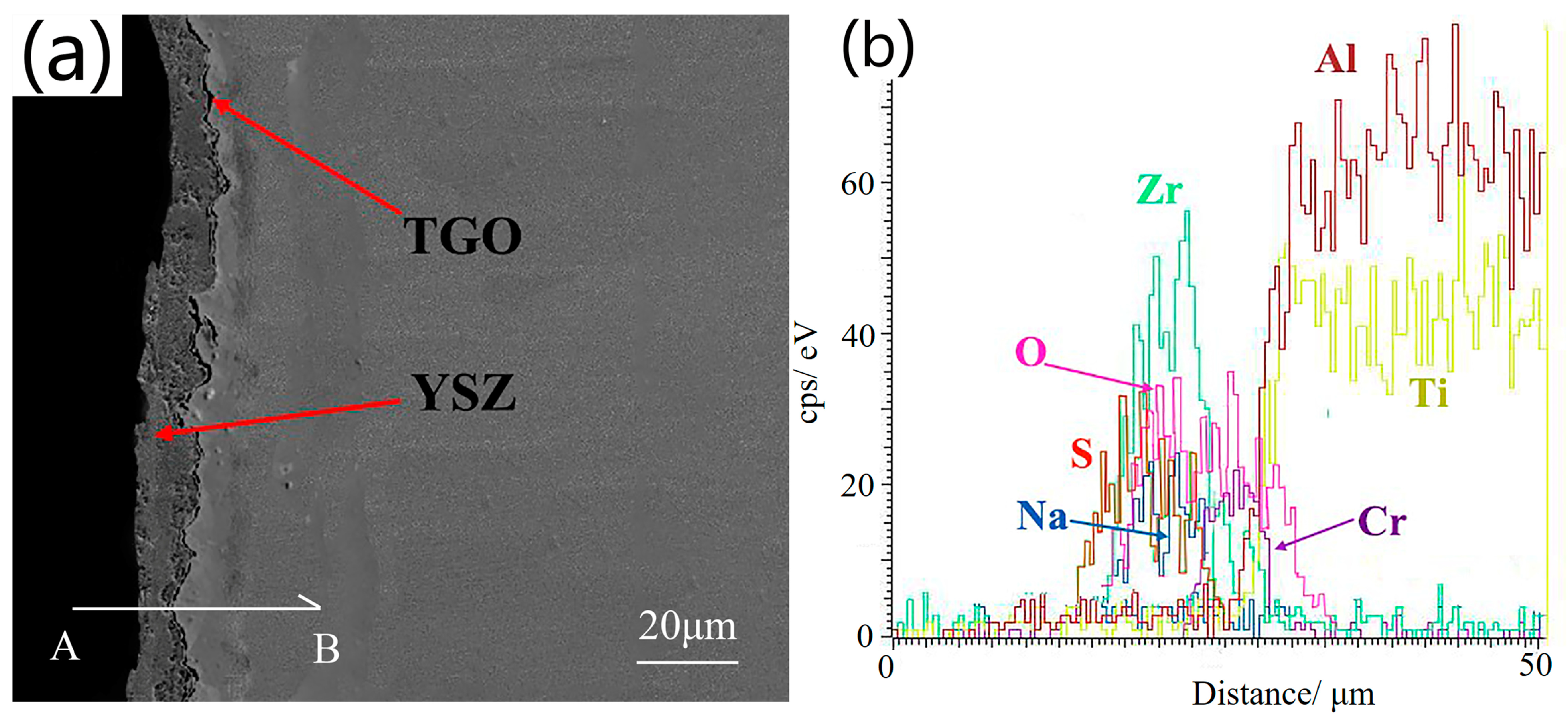 Coatings 14 01150 g010
