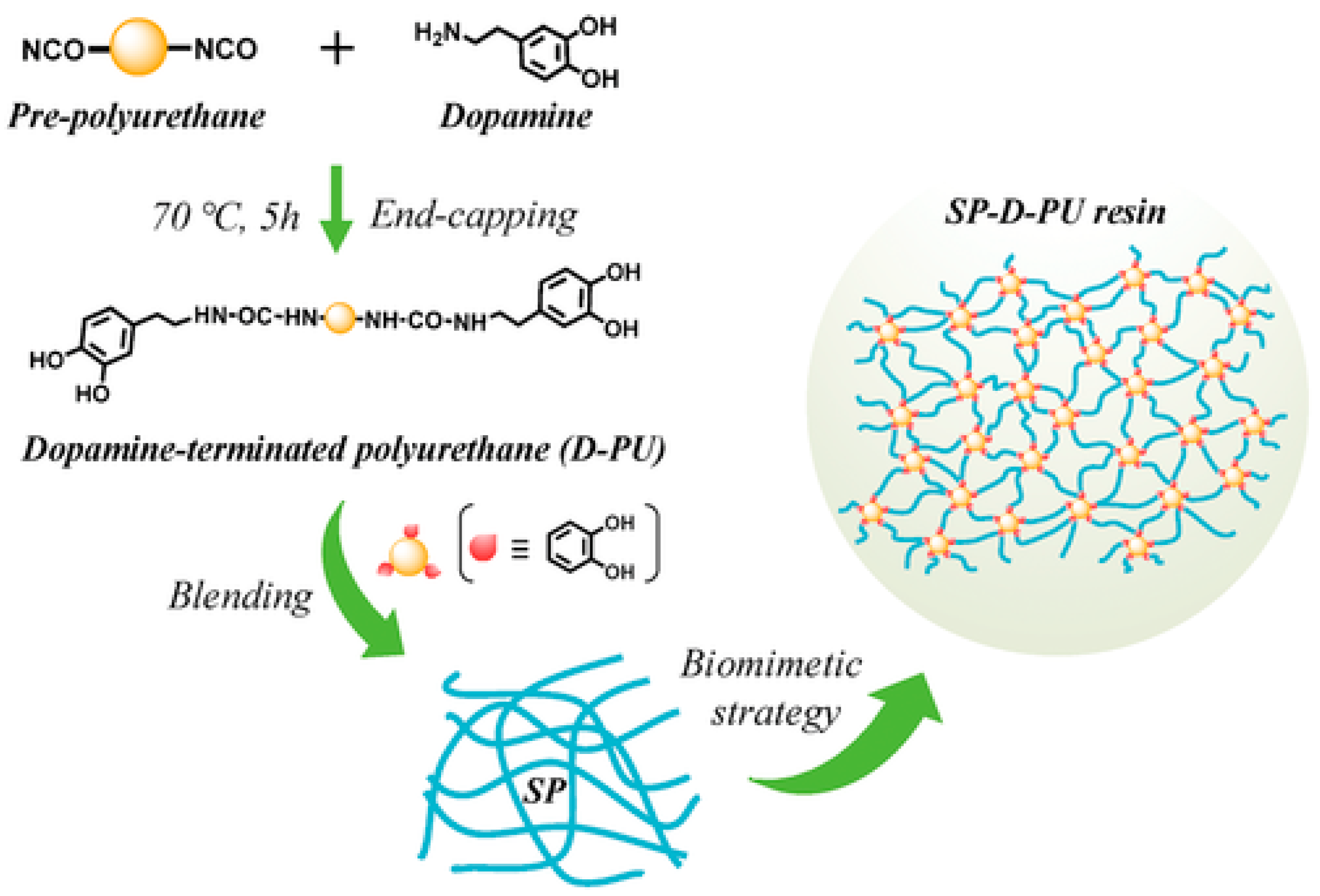 Coatings 14 01153 g003