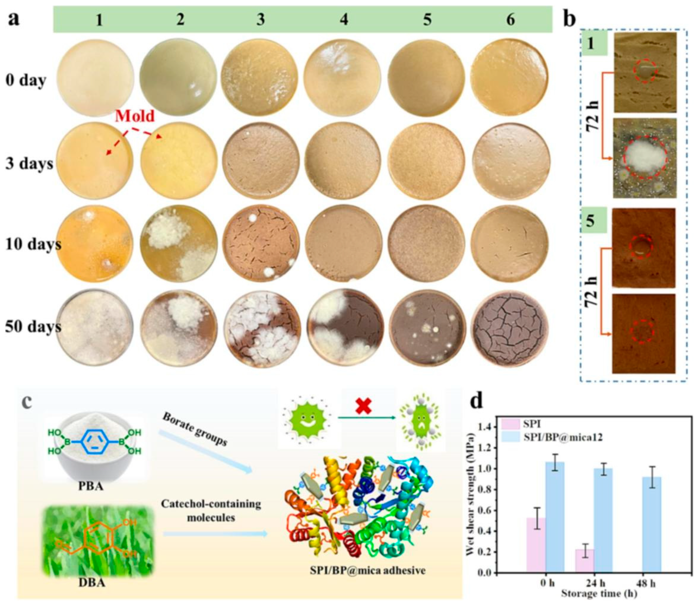 Coatings 14 01153 g004