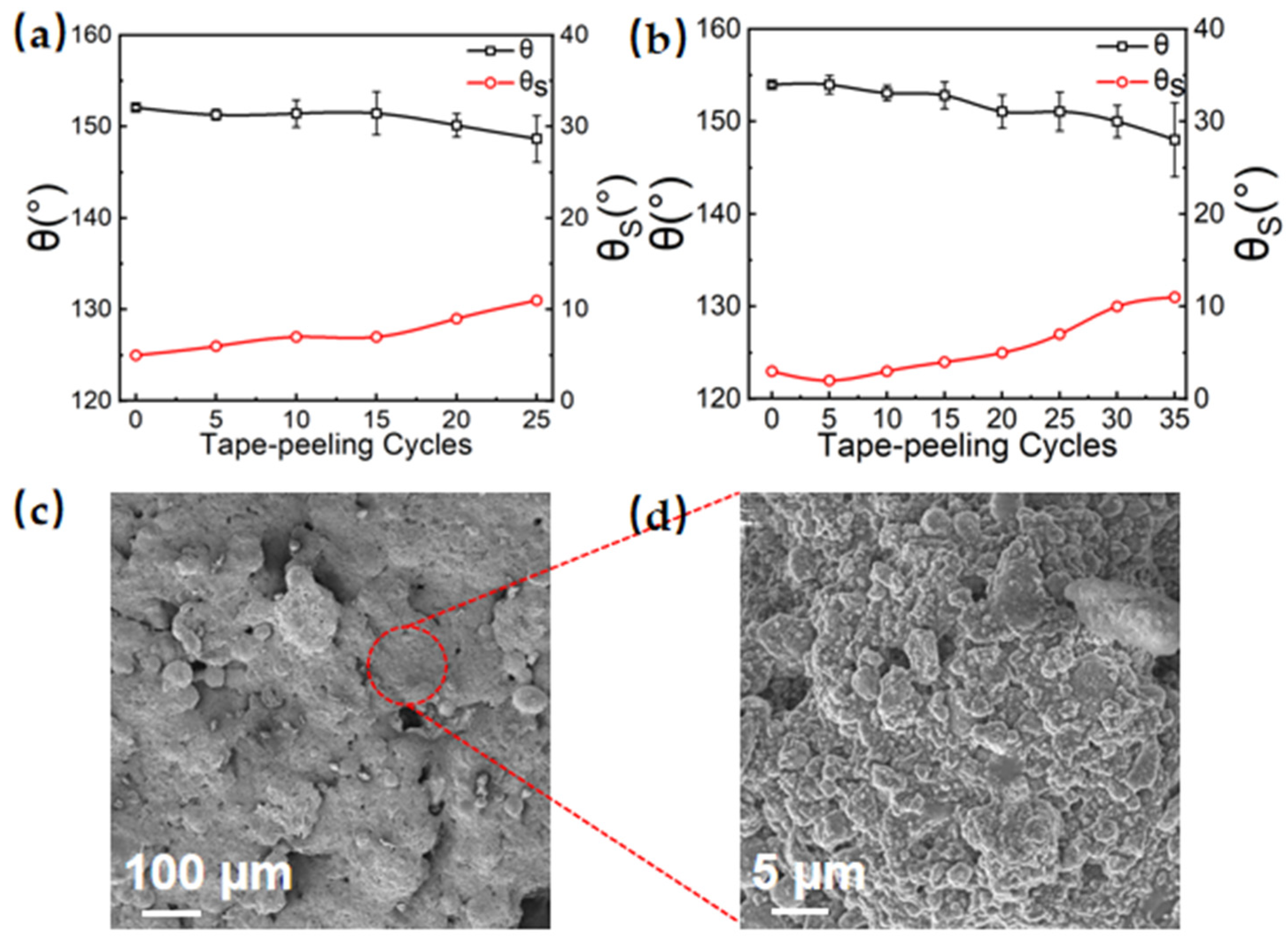 Coatings 14 01156 g006