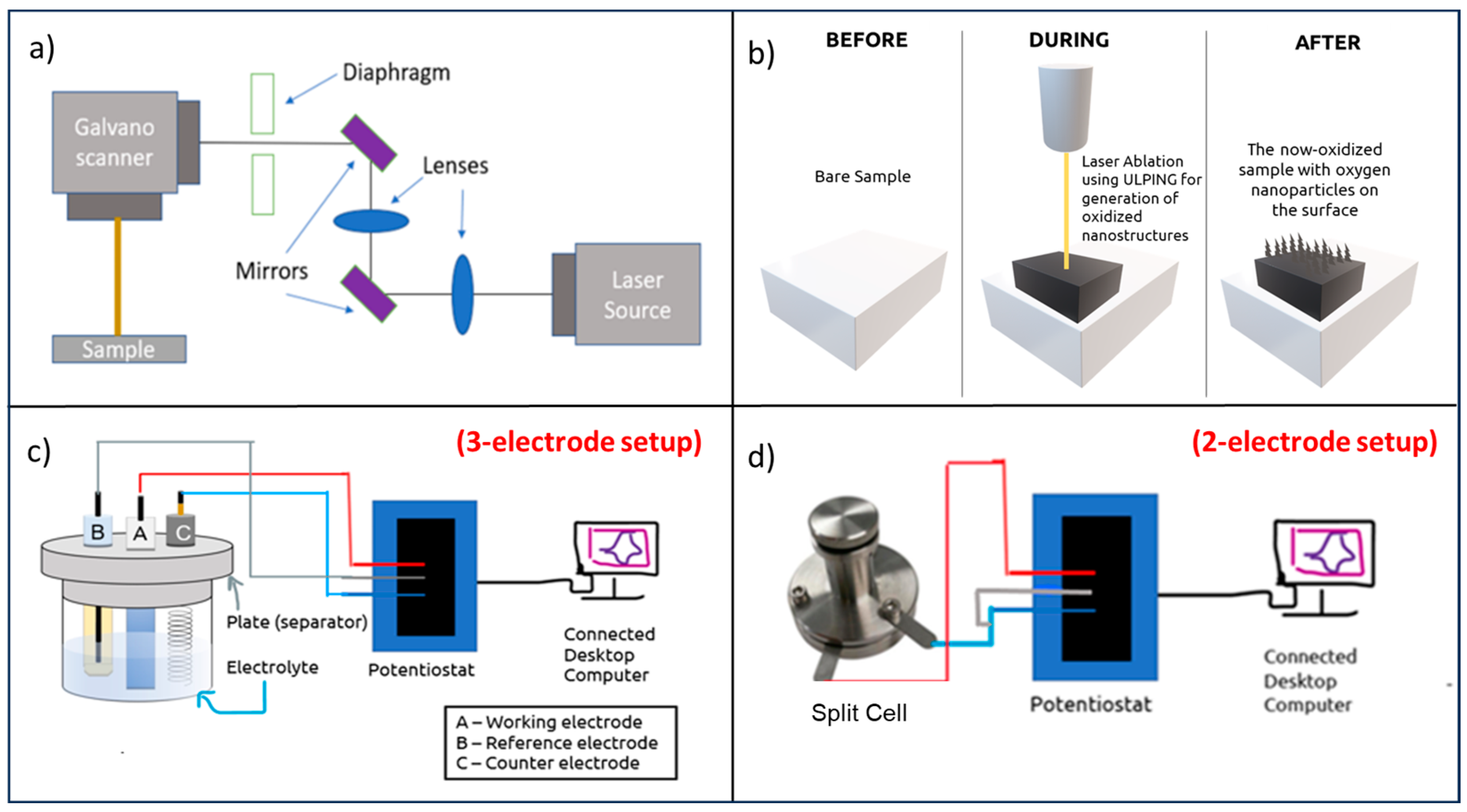 Coatings 14 01163 g001