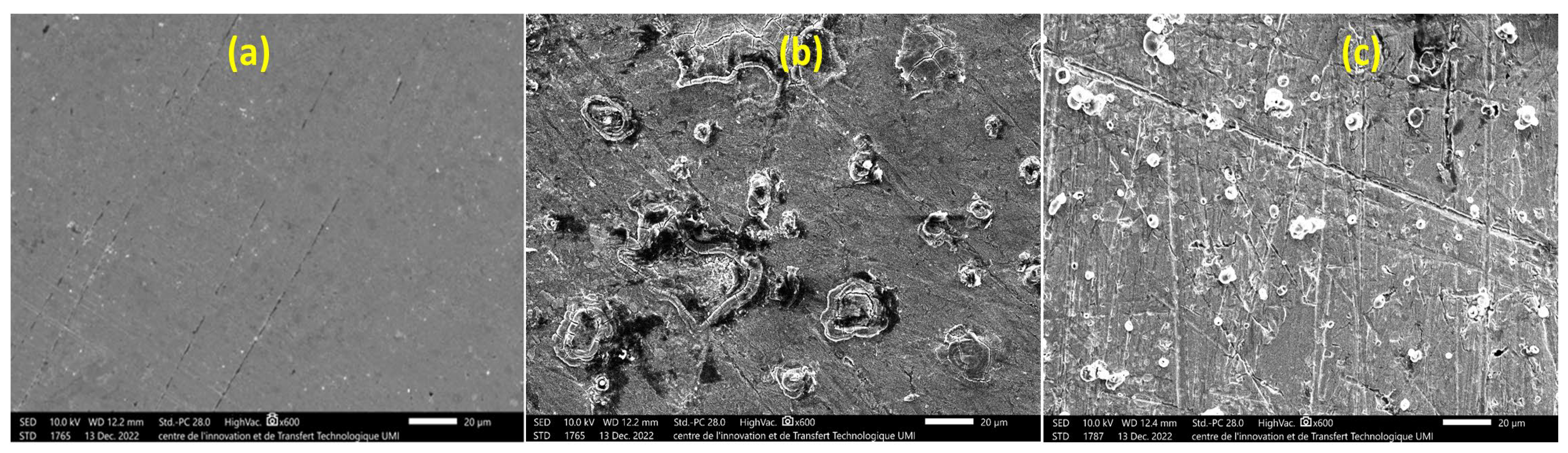 Coatings 14 01164 g006