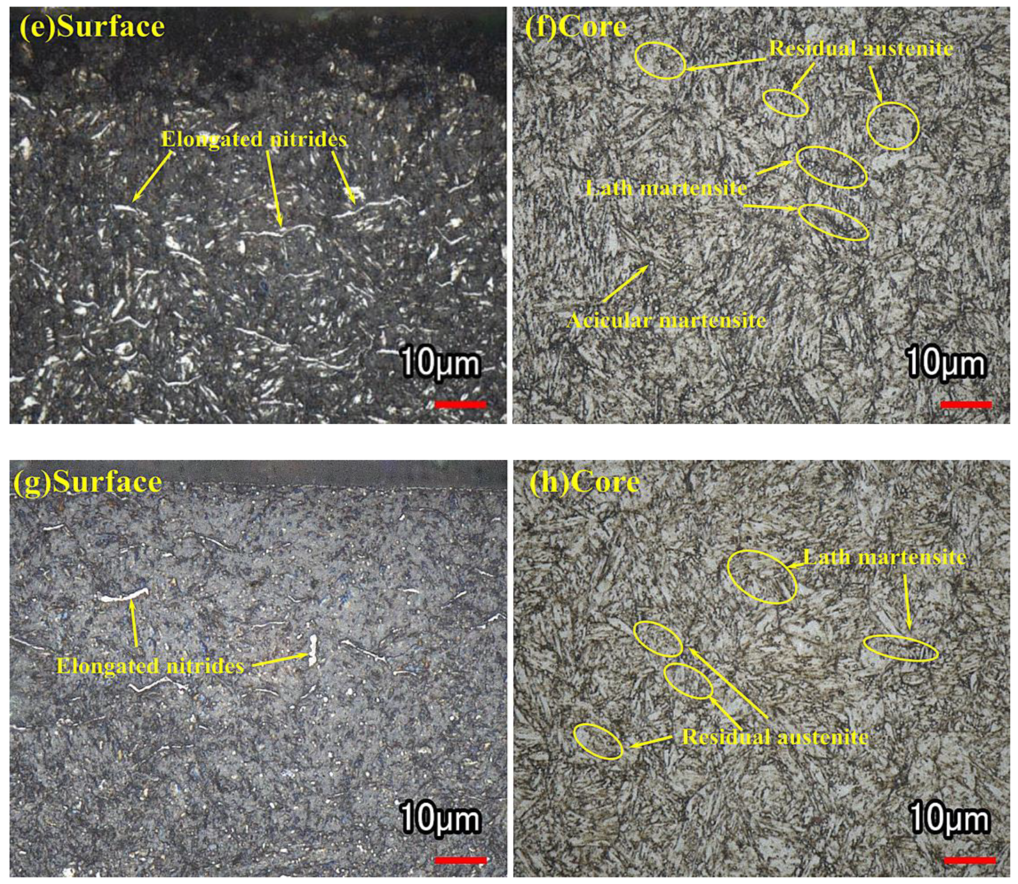 Coatings 14 01165 g006b
