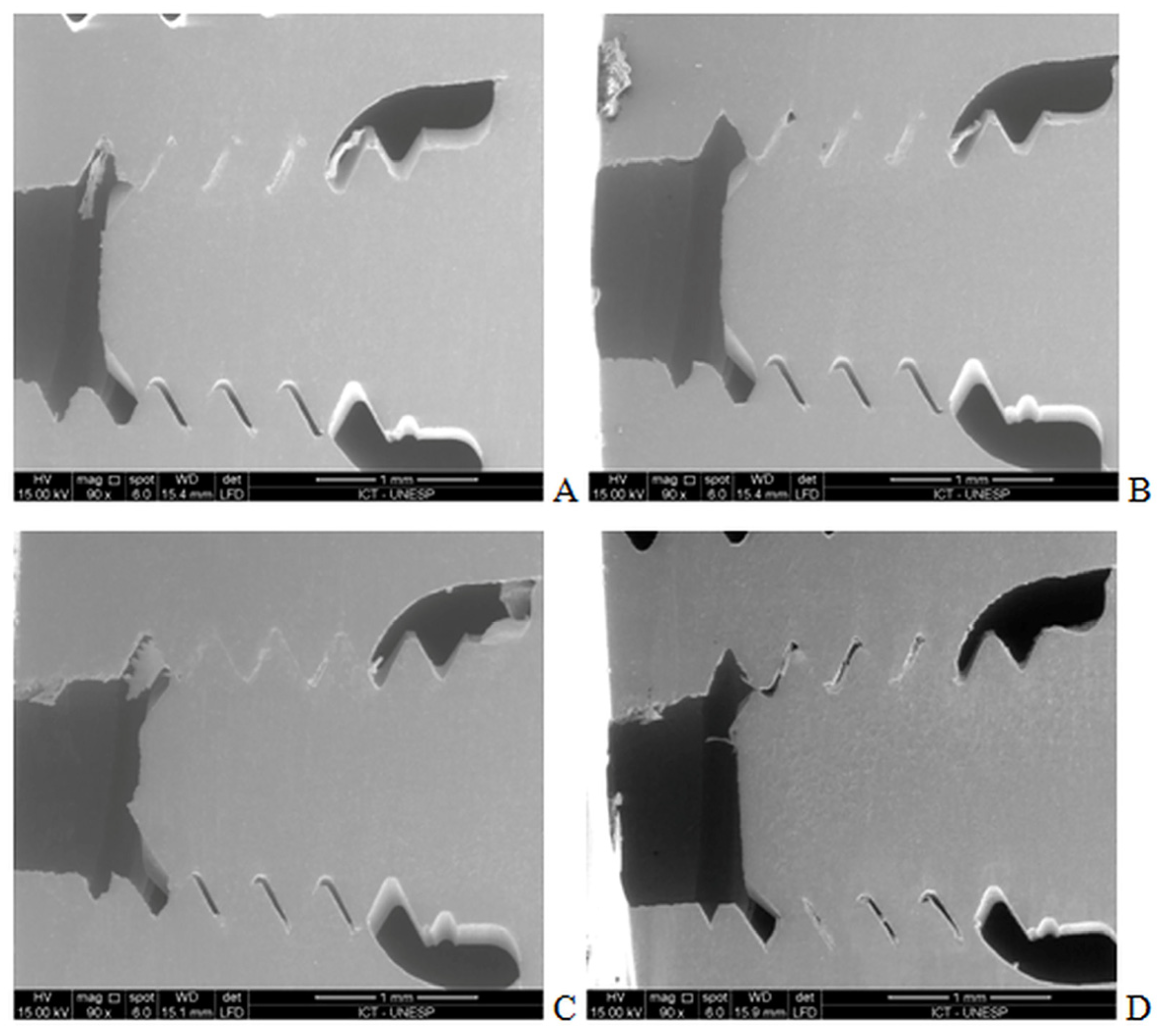 Coatings 14 01168 g002 Coatings 14 01168 g002