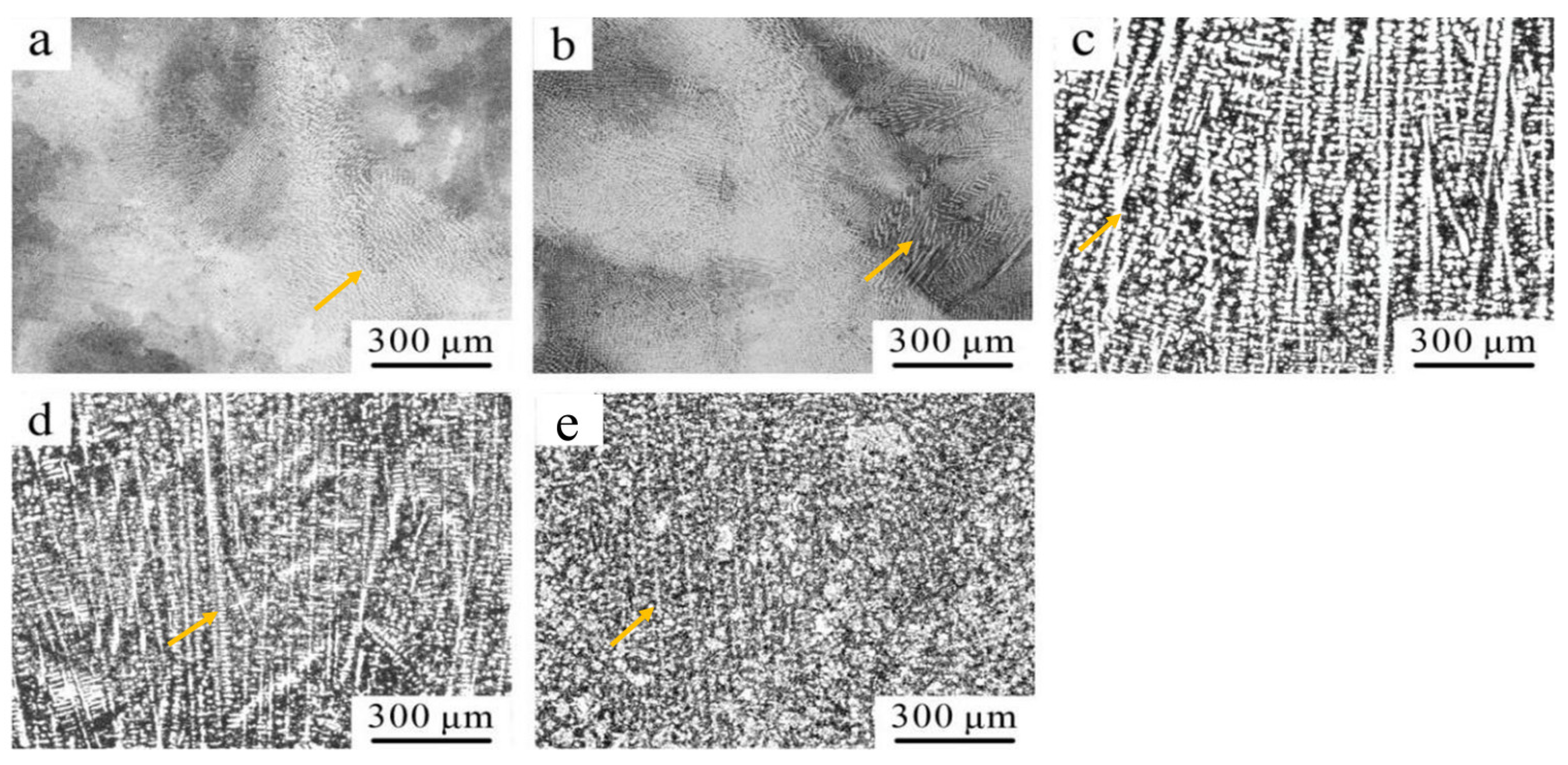 Coatings 14 01171 g003
