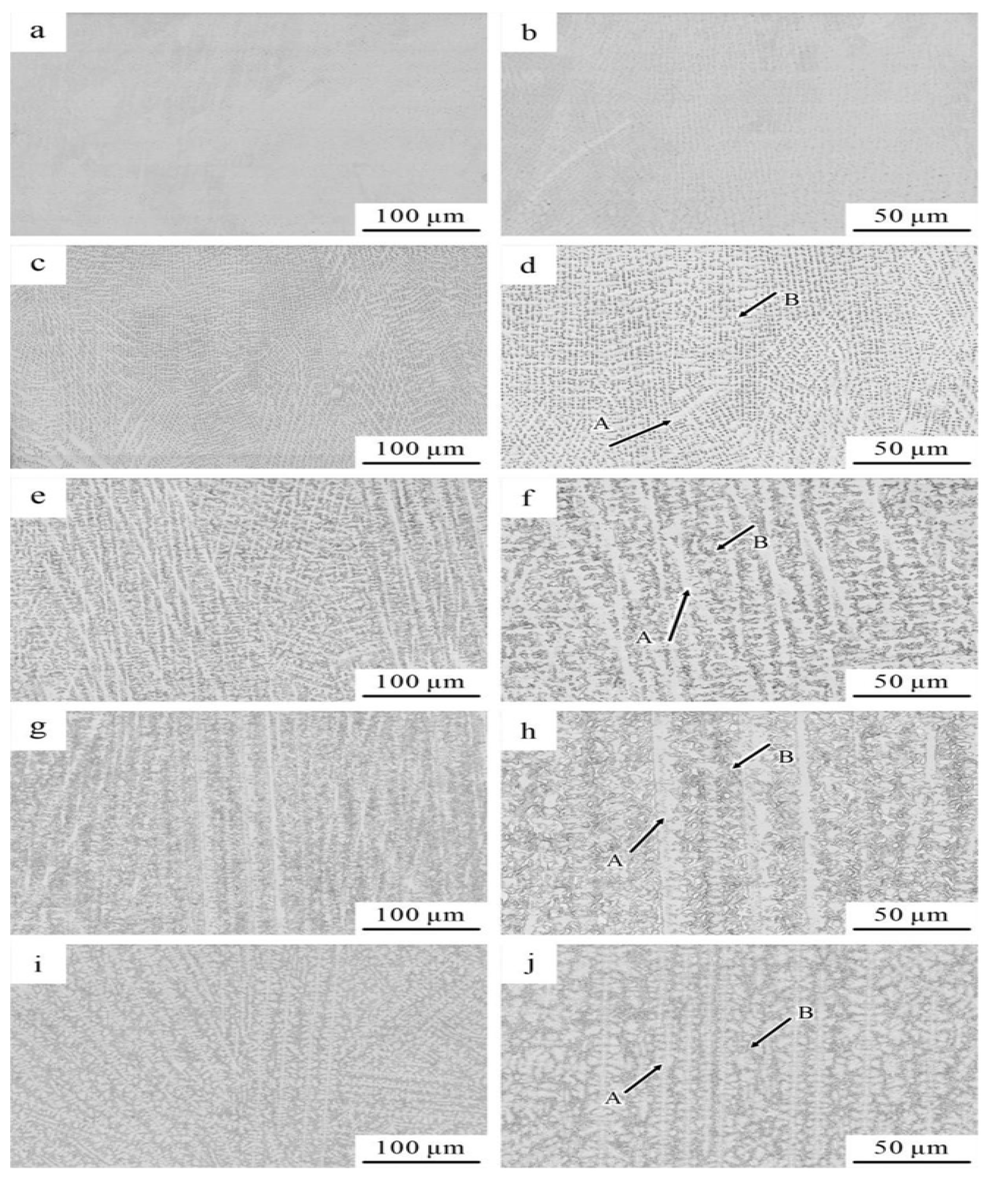 Coatings 14 01171 g004