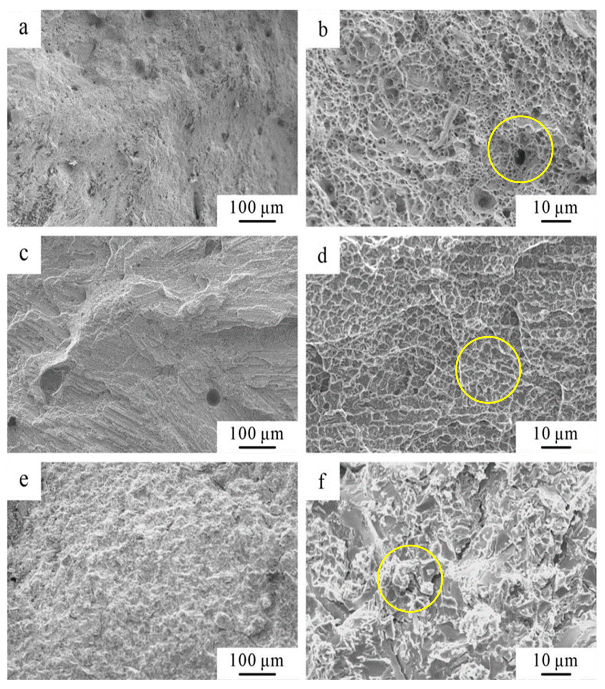 Coatings 14 01171 g009