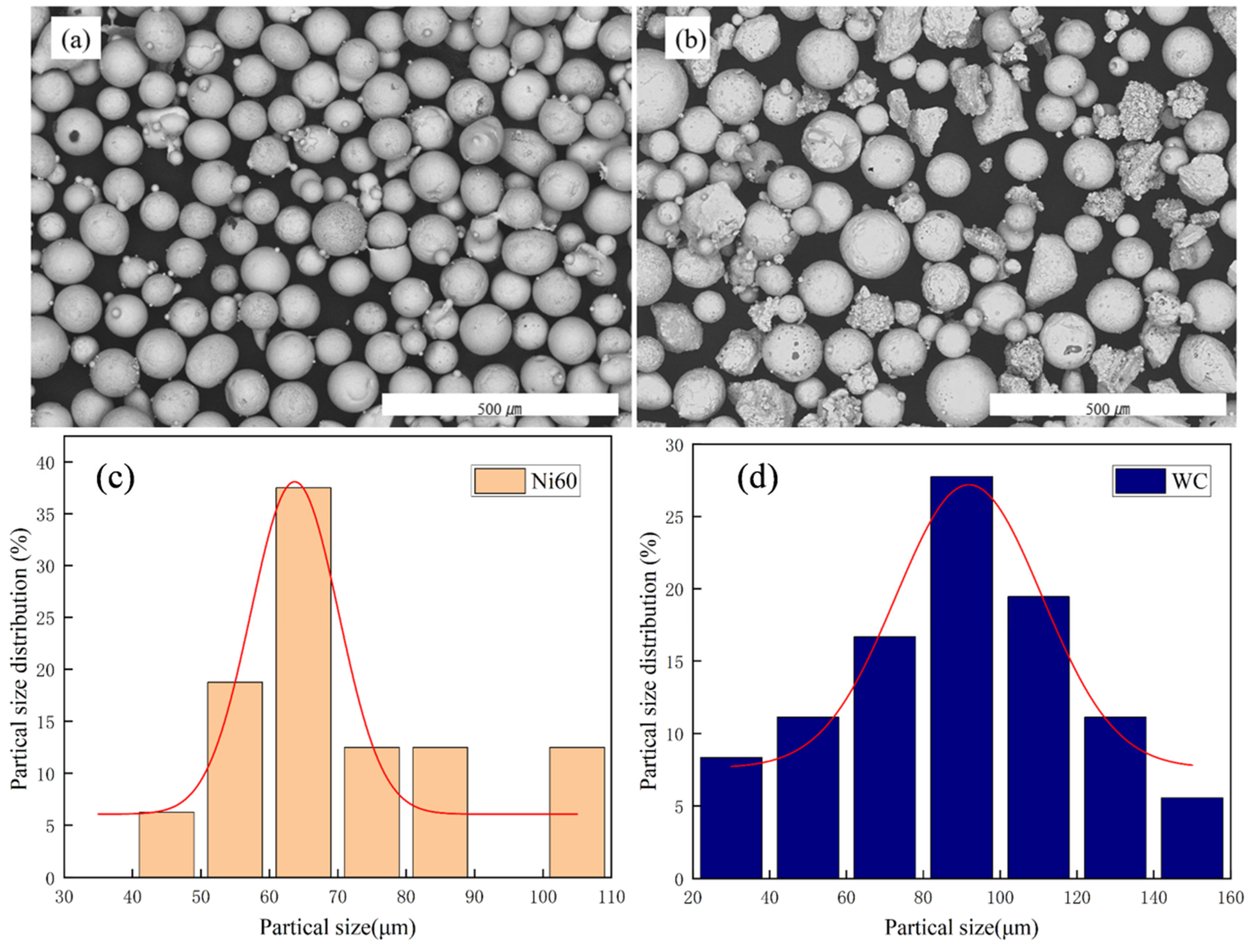 Coatings 14 01172 g001