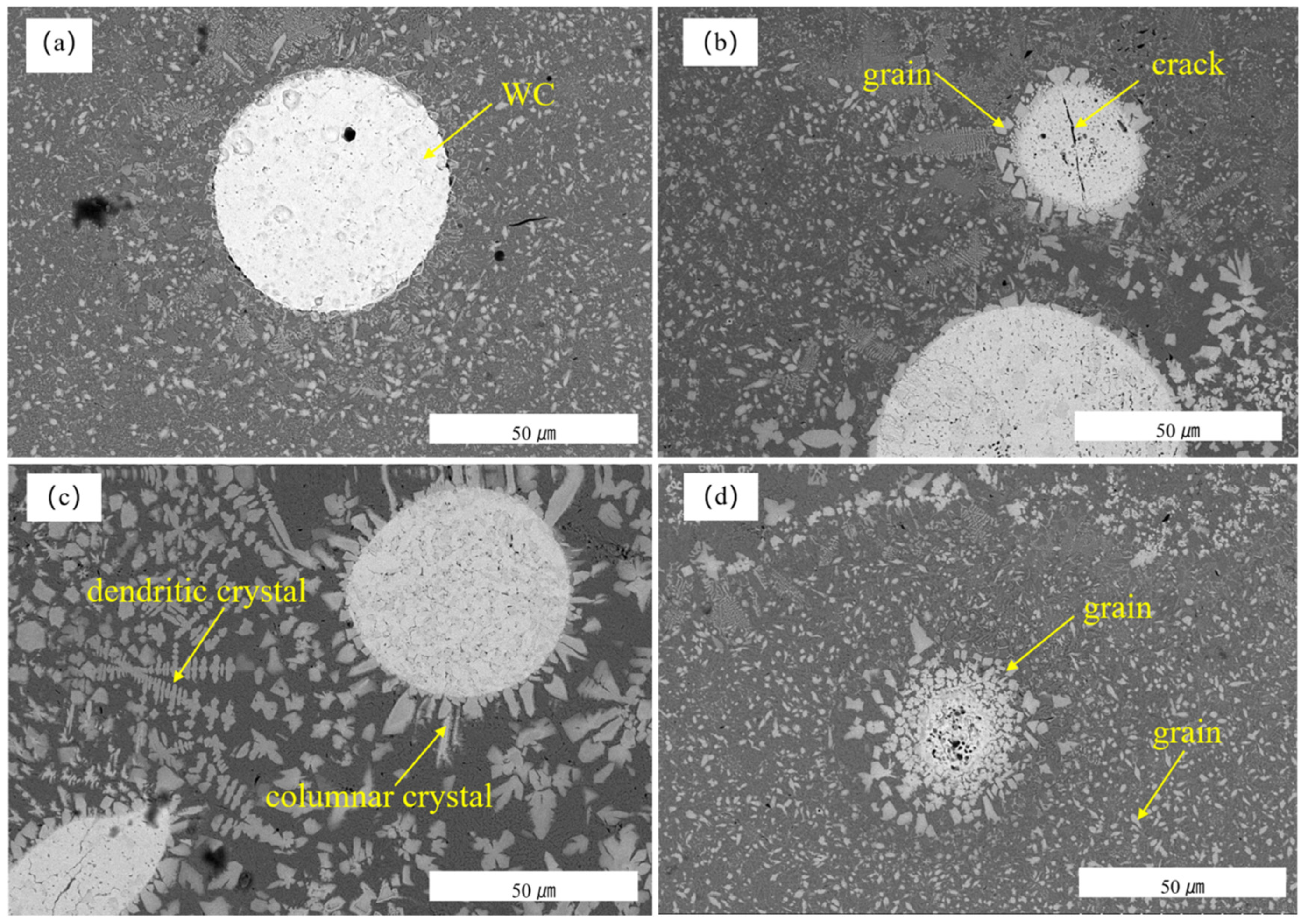 Coatings 14 01172 g004