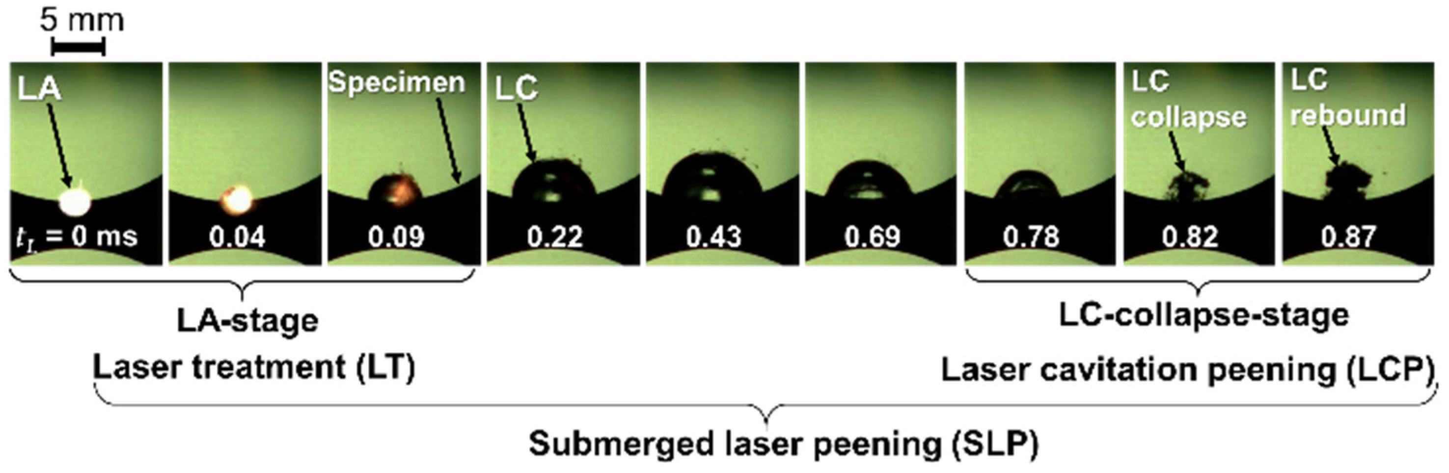 Coatings 14 01174 g001