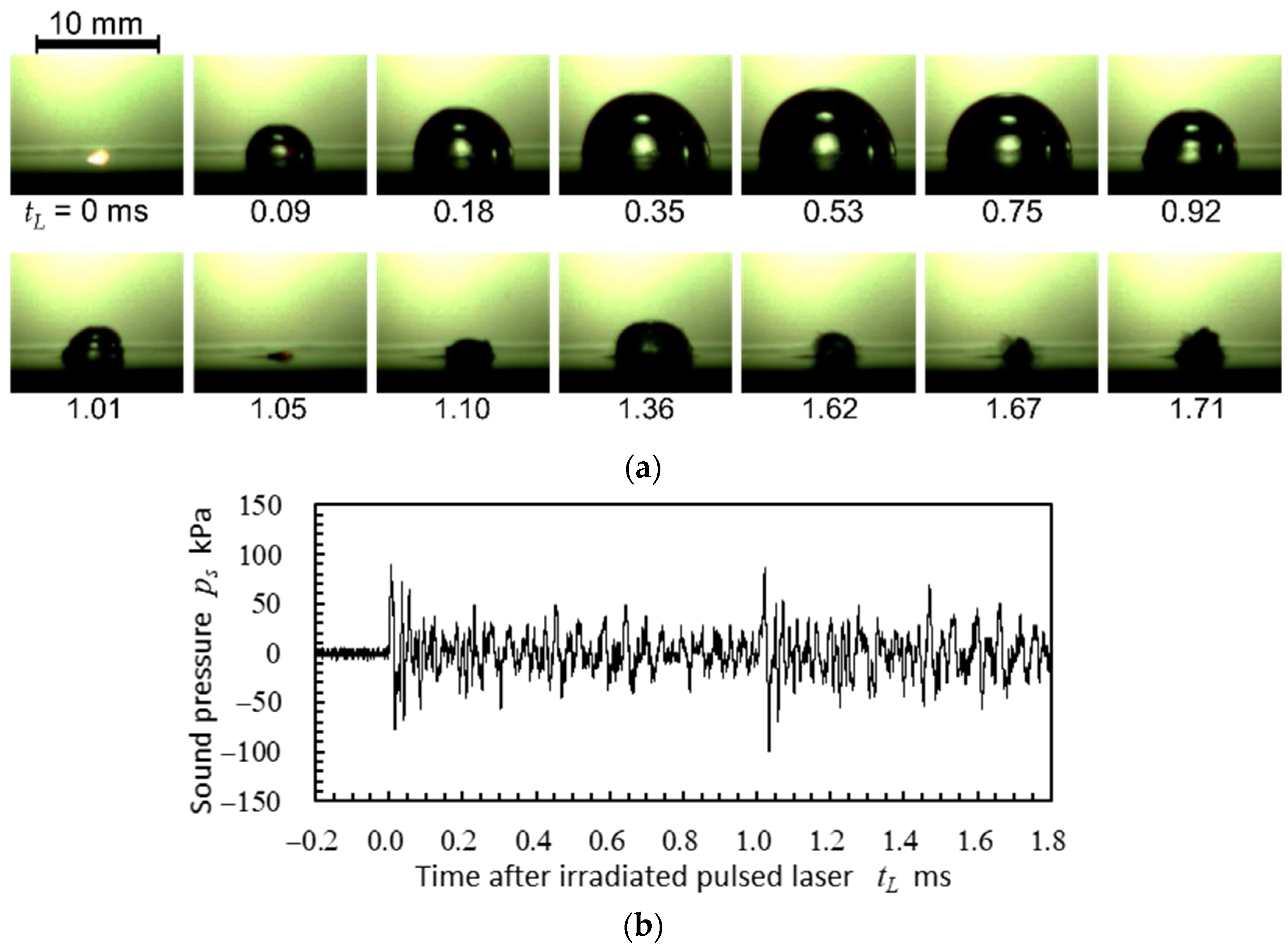 Coatings 14 01174 g007