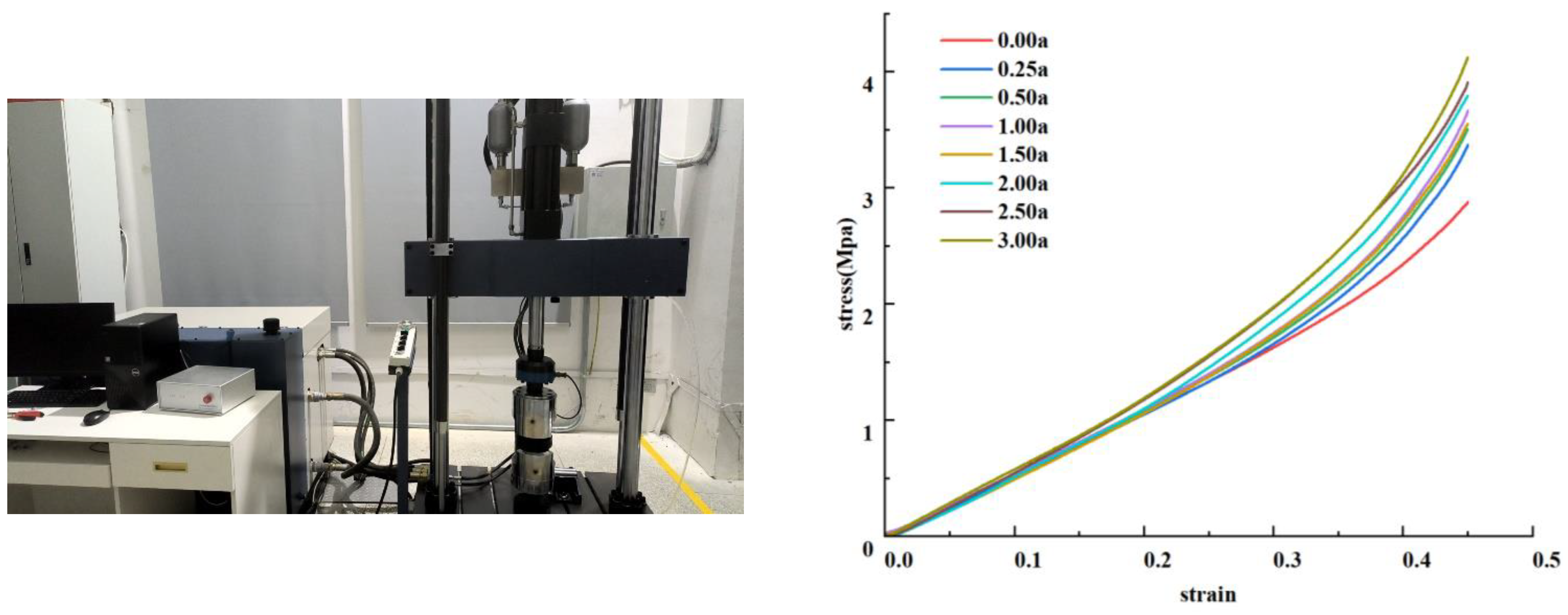 Coatings 14 01178 g005