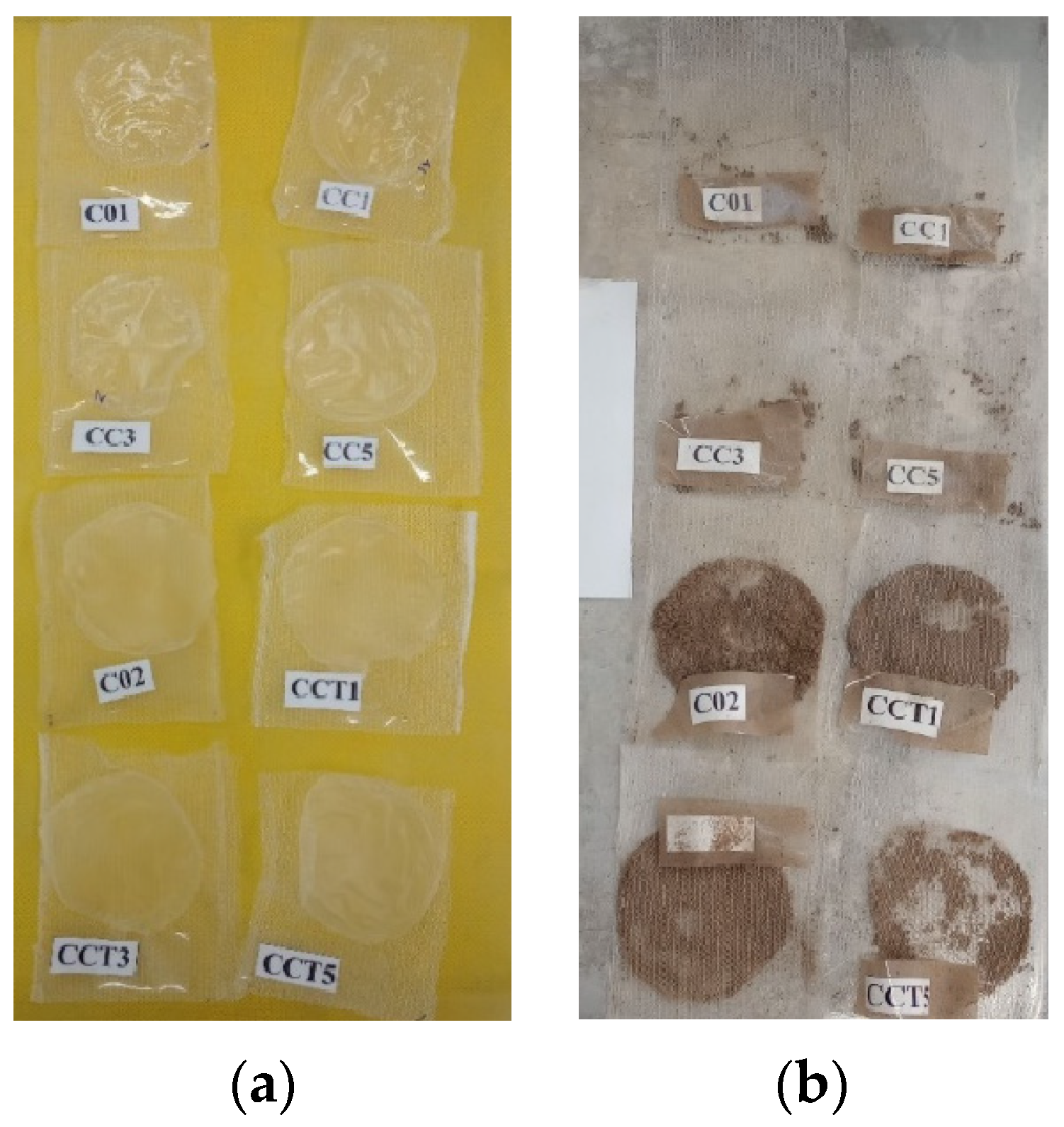 Coatings 14 01182 g009