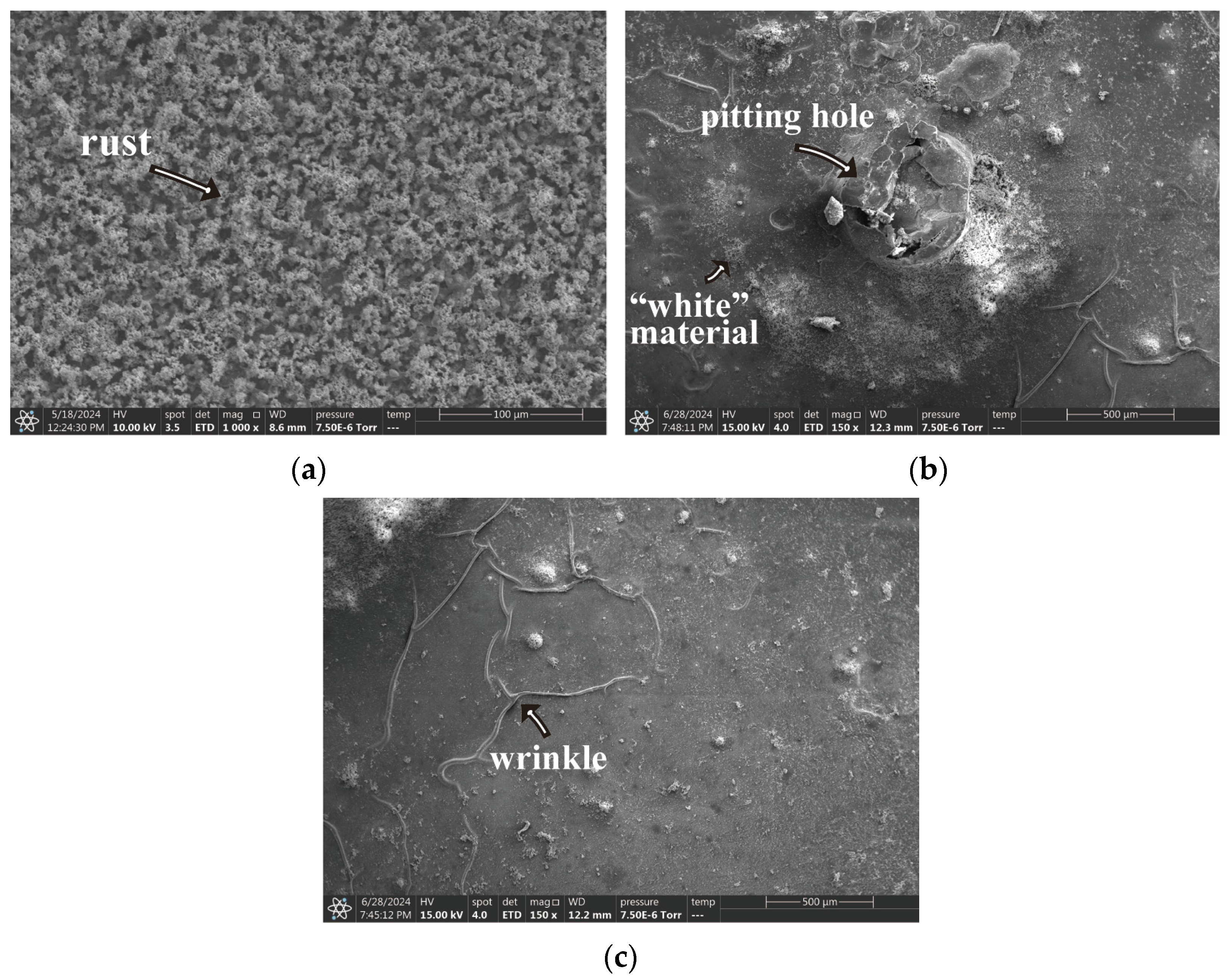 Coatings 14 01190 g015