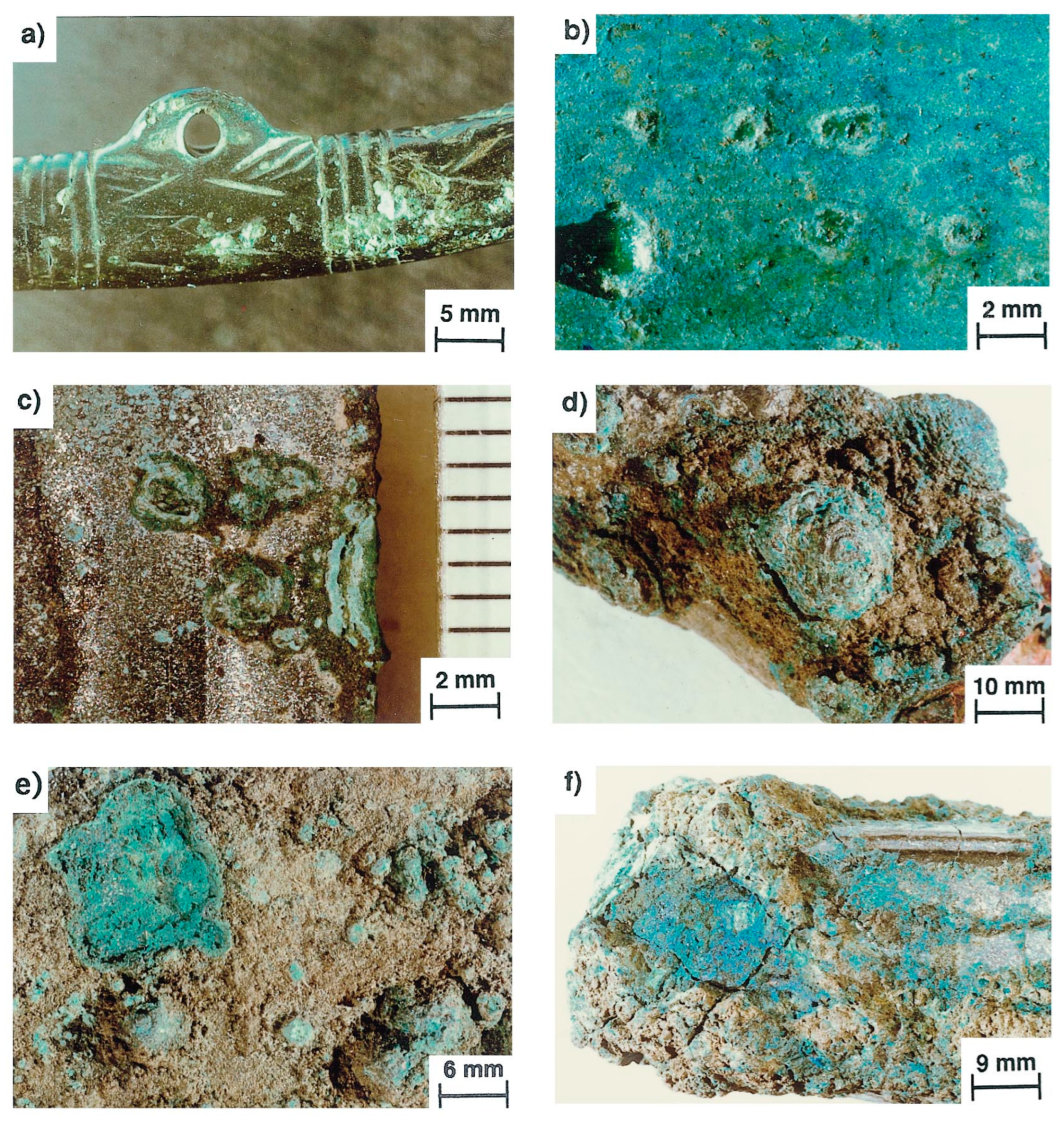 Coatings 14 01196 g001