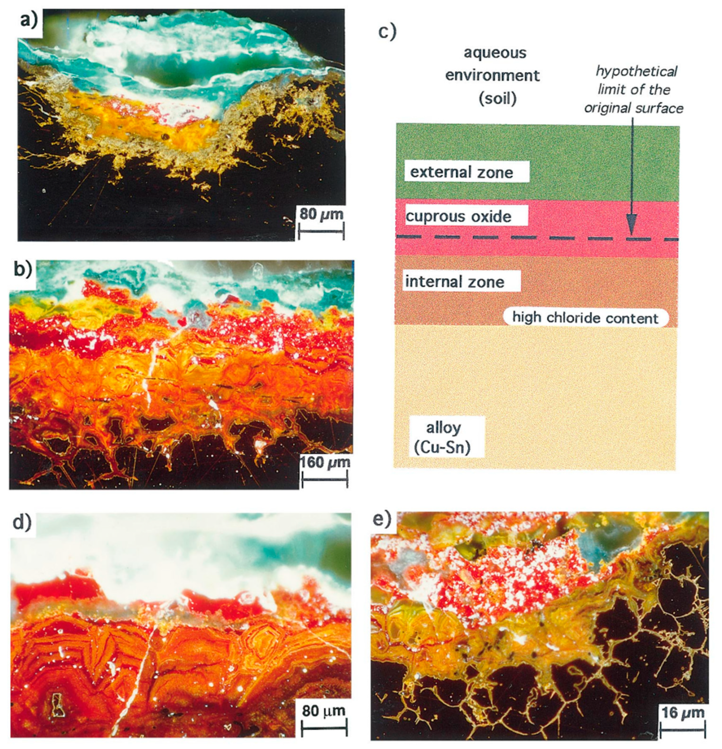 Coatings 14 01196 g006