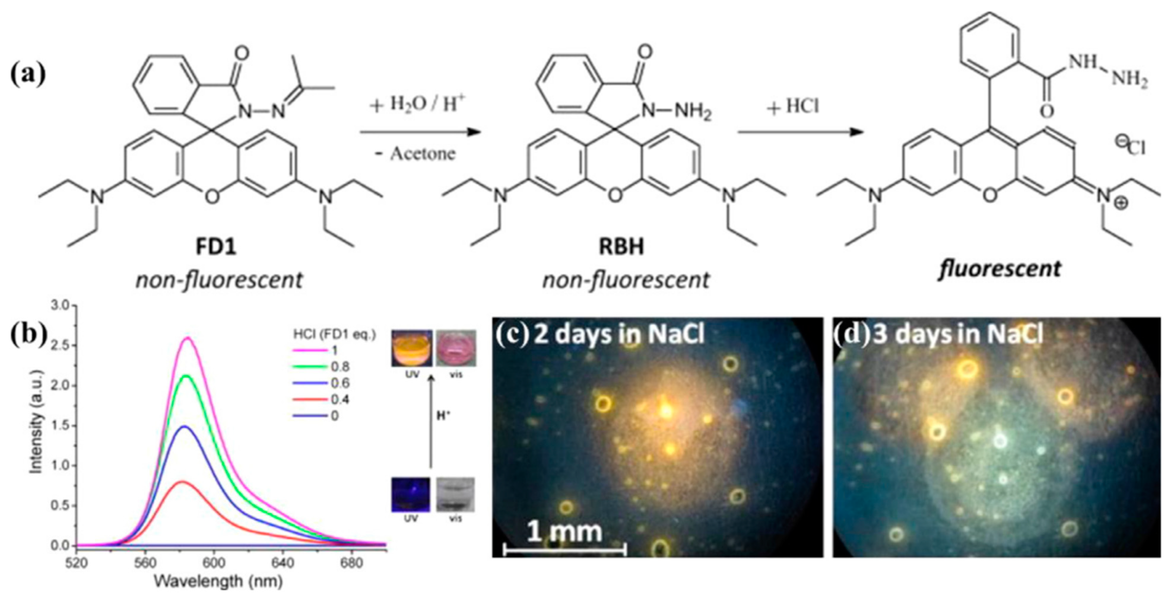 Coatings 14 01196 g008